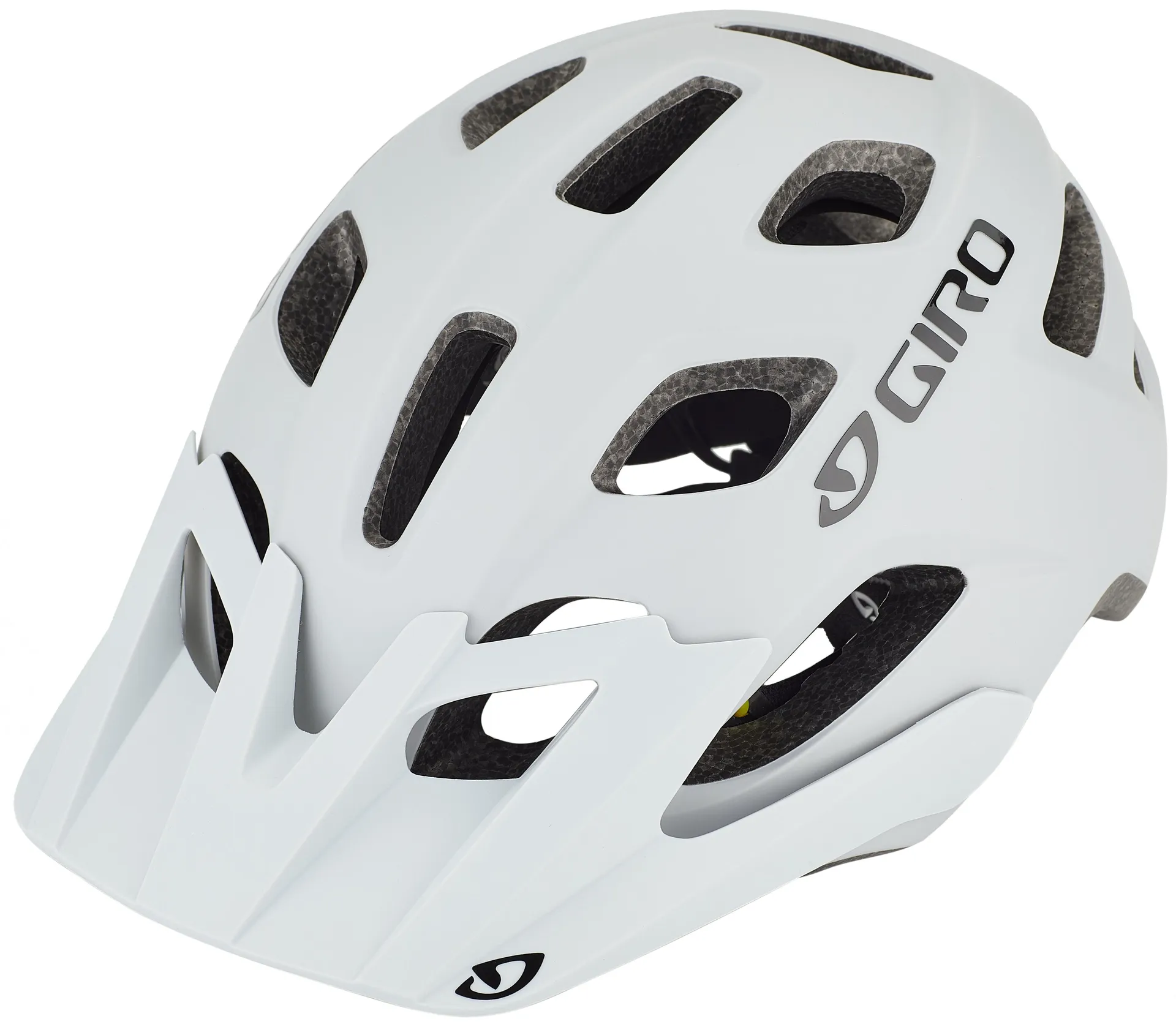 Giro Fixture MIPS Helm grau