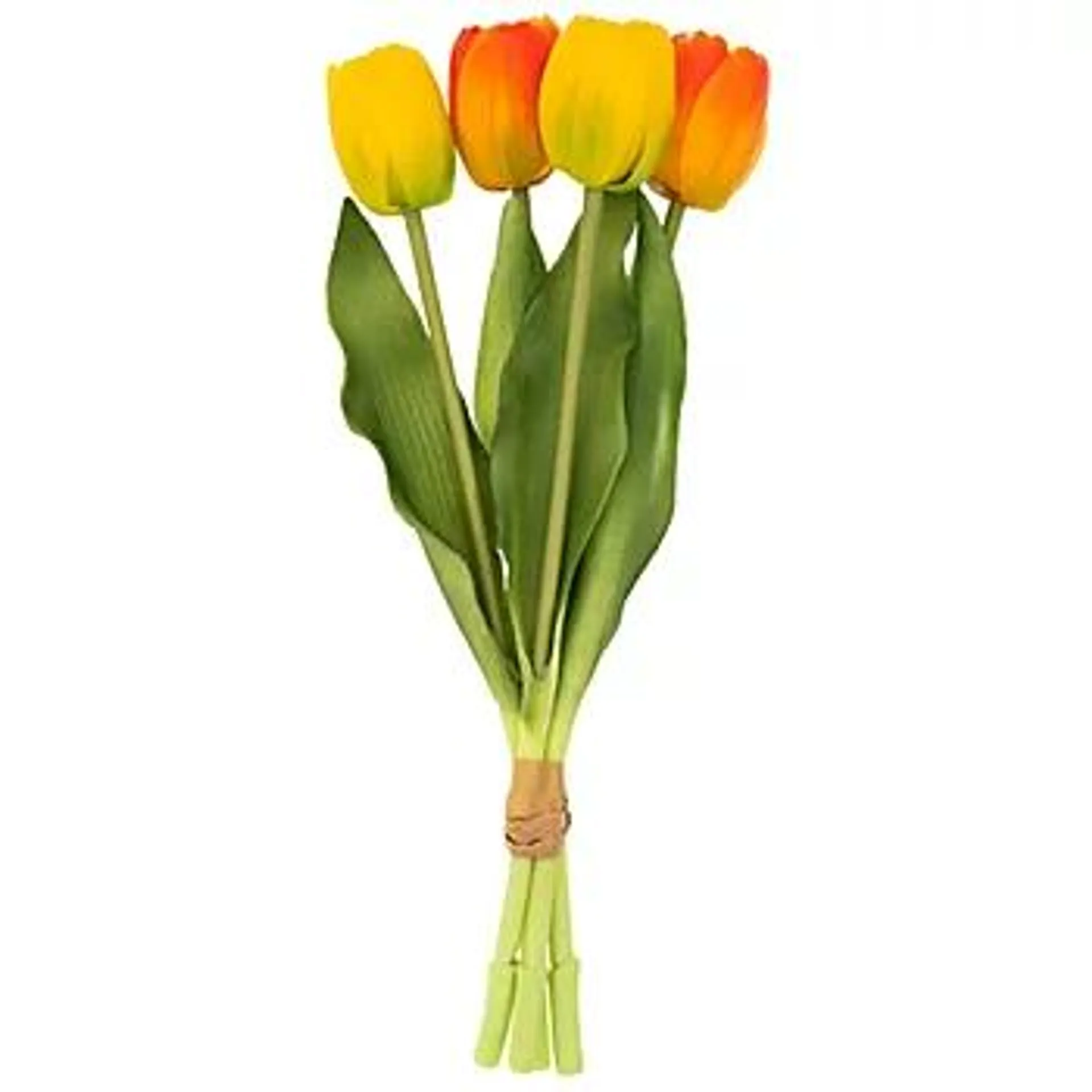 Tulpen, orange, gelb, 30 cm, 4 Stück