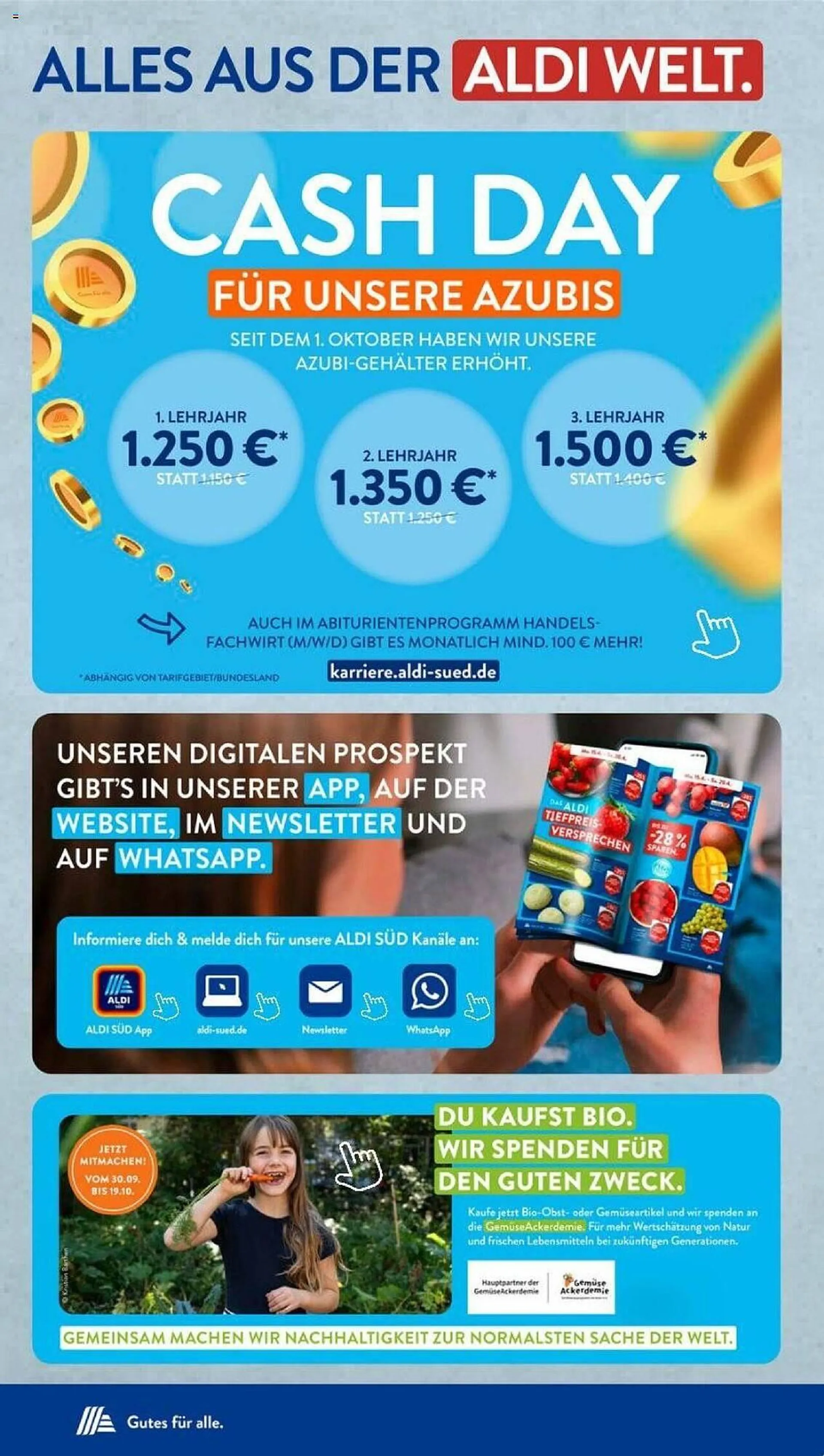 Aldi Süd Prospekt von 21. Oktober bis 26. Oktober 2024 - Prospekt seite 37