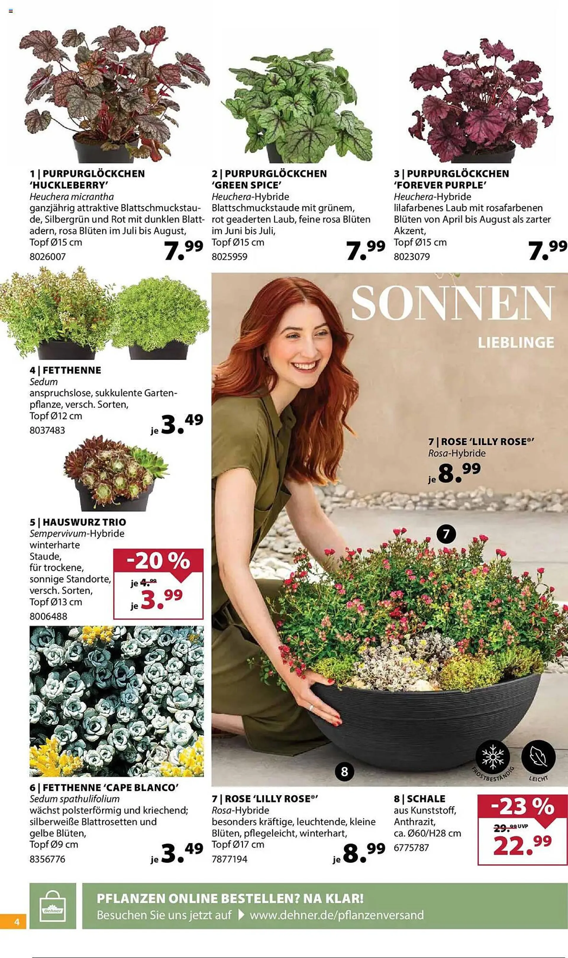 Dehner Prospekt von 14. Mai bis 19. Mai 2025 - Prospekt seite 4