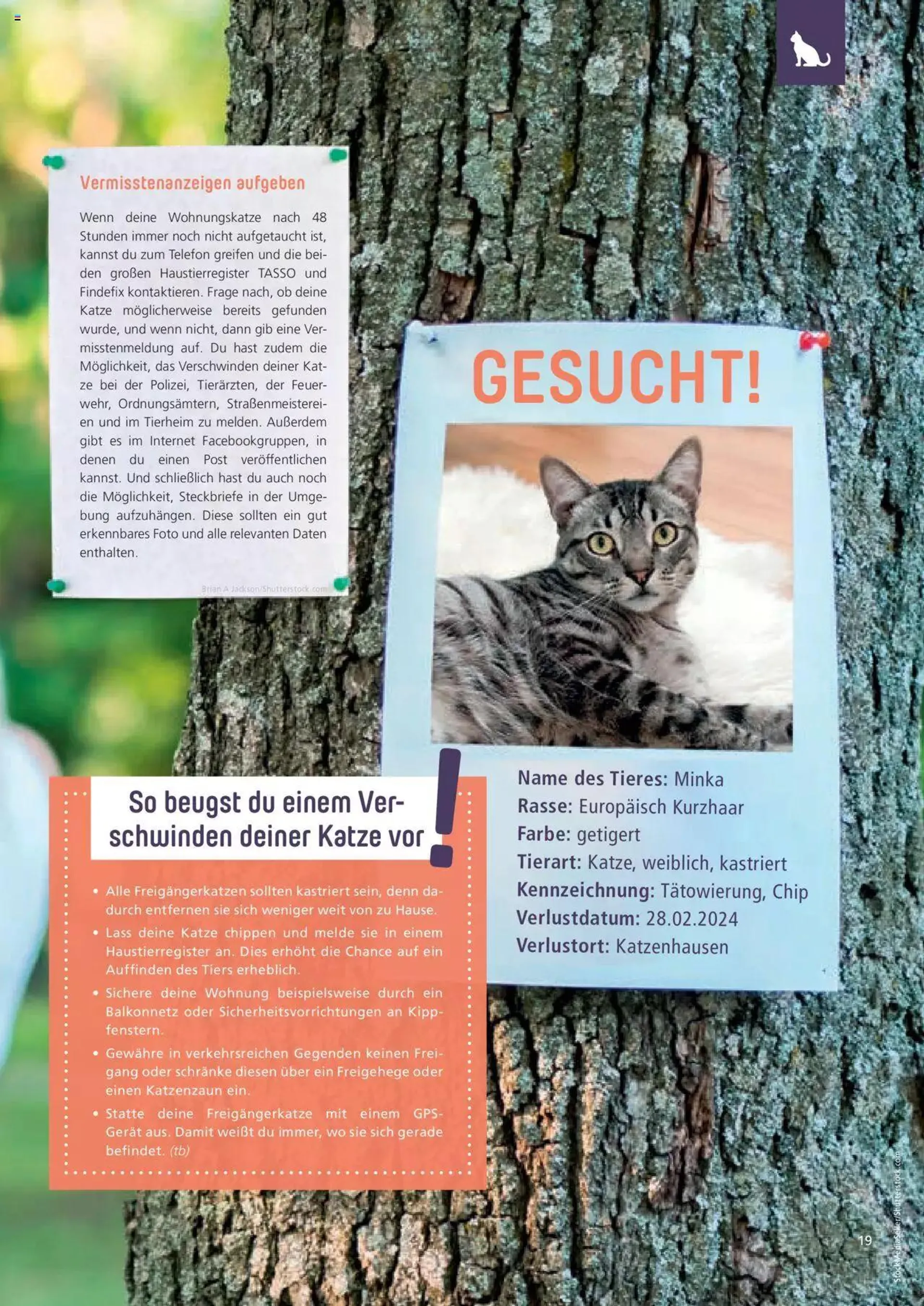 Zoo & co Prospekt Freunde von 29. Februar bis 31. Dezember 2024 - Prospekt seite 19