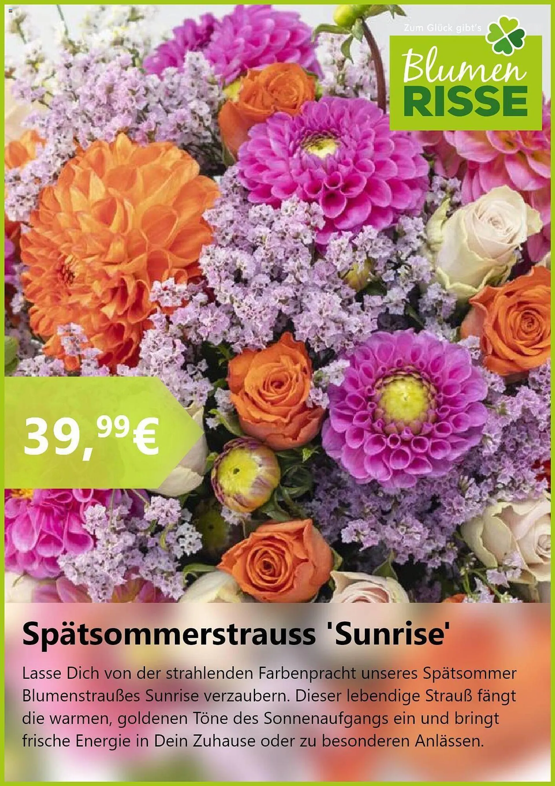 Blumen Risse Prospekt von 17. September bis 15. Oktober 2024 - Prospekt seite 6