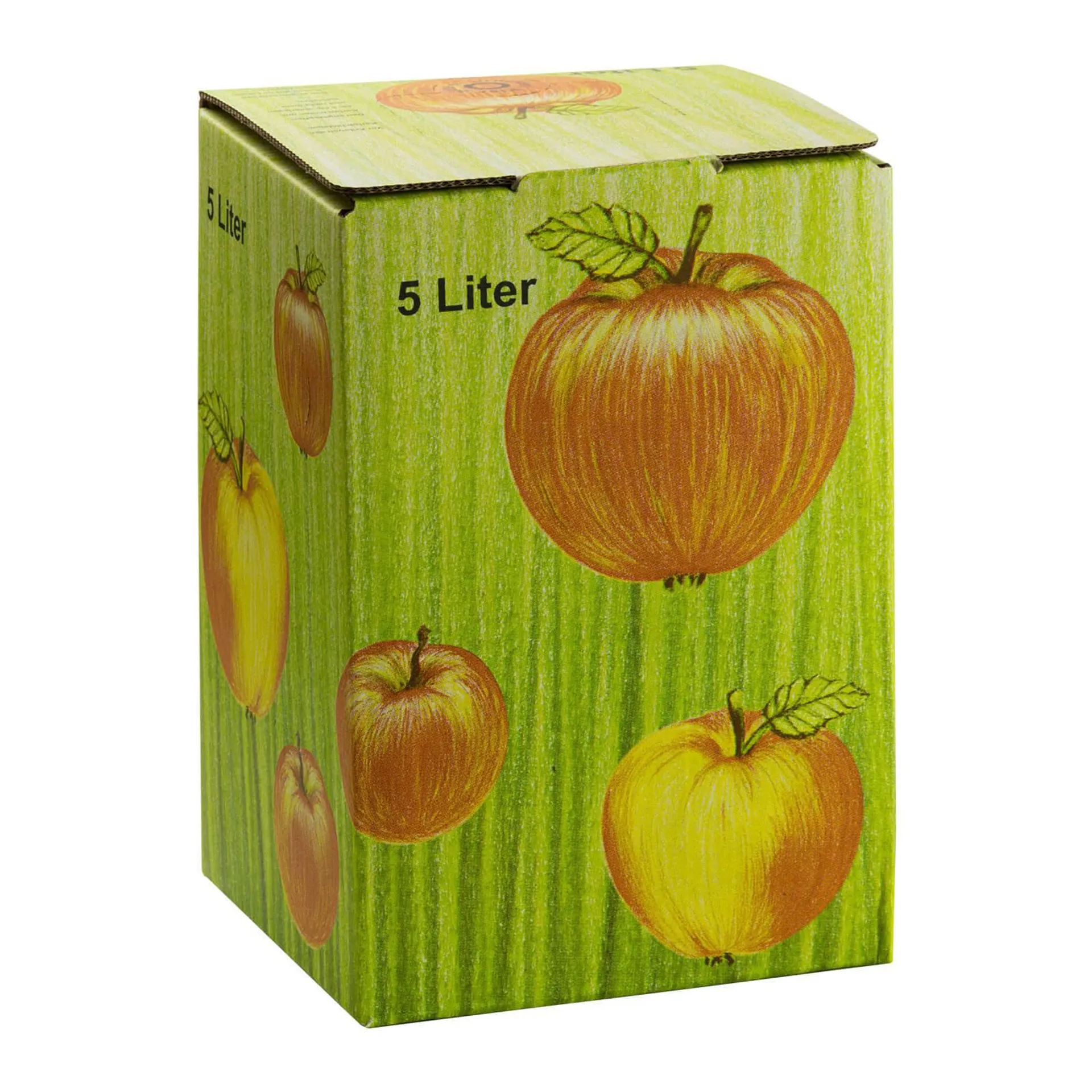 40x Bag in Box Saftkarton für Apfelsaft 5 Liter Füllmenge