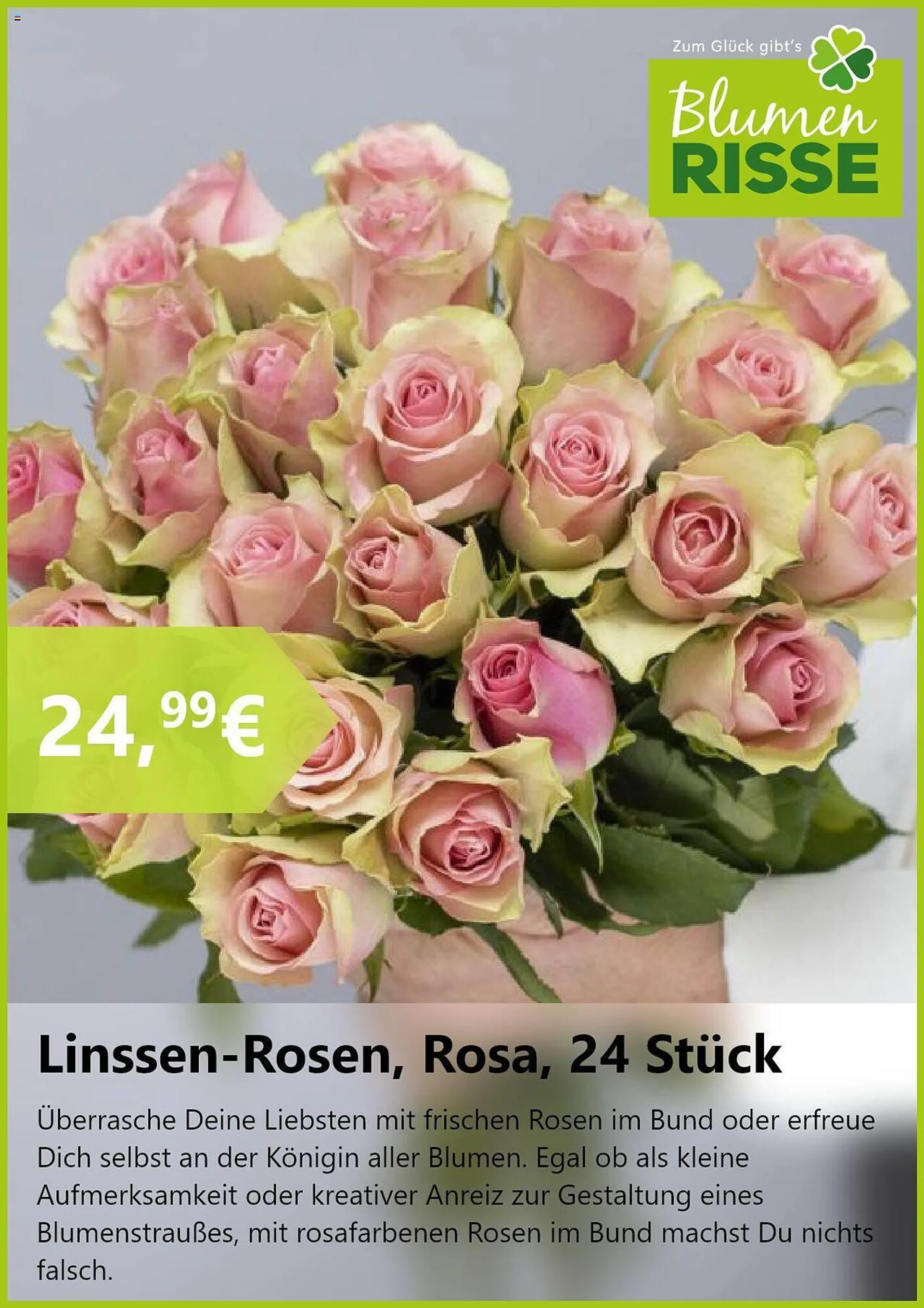 Blumen Risse Prospekt von 20. August bis 17. September 2024 - Prospekt seite 6