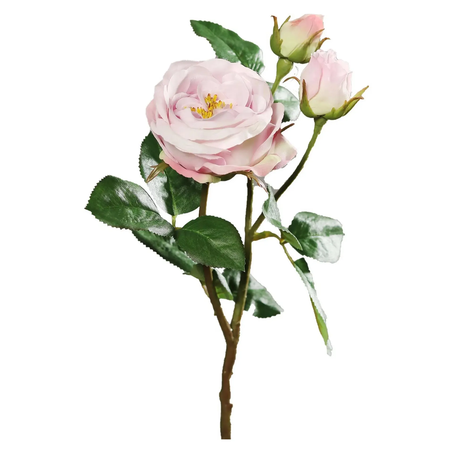 Rose - pink - Kunststoff - 46 cm