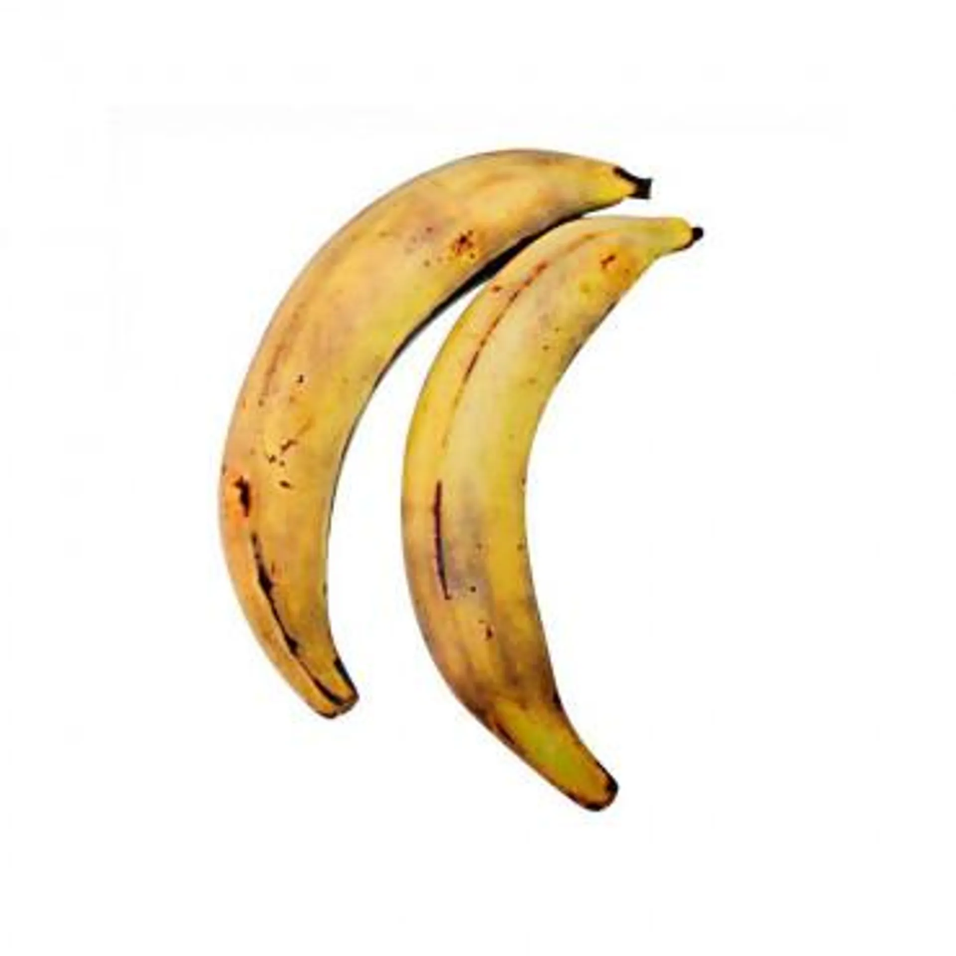 Kochbanane, lose