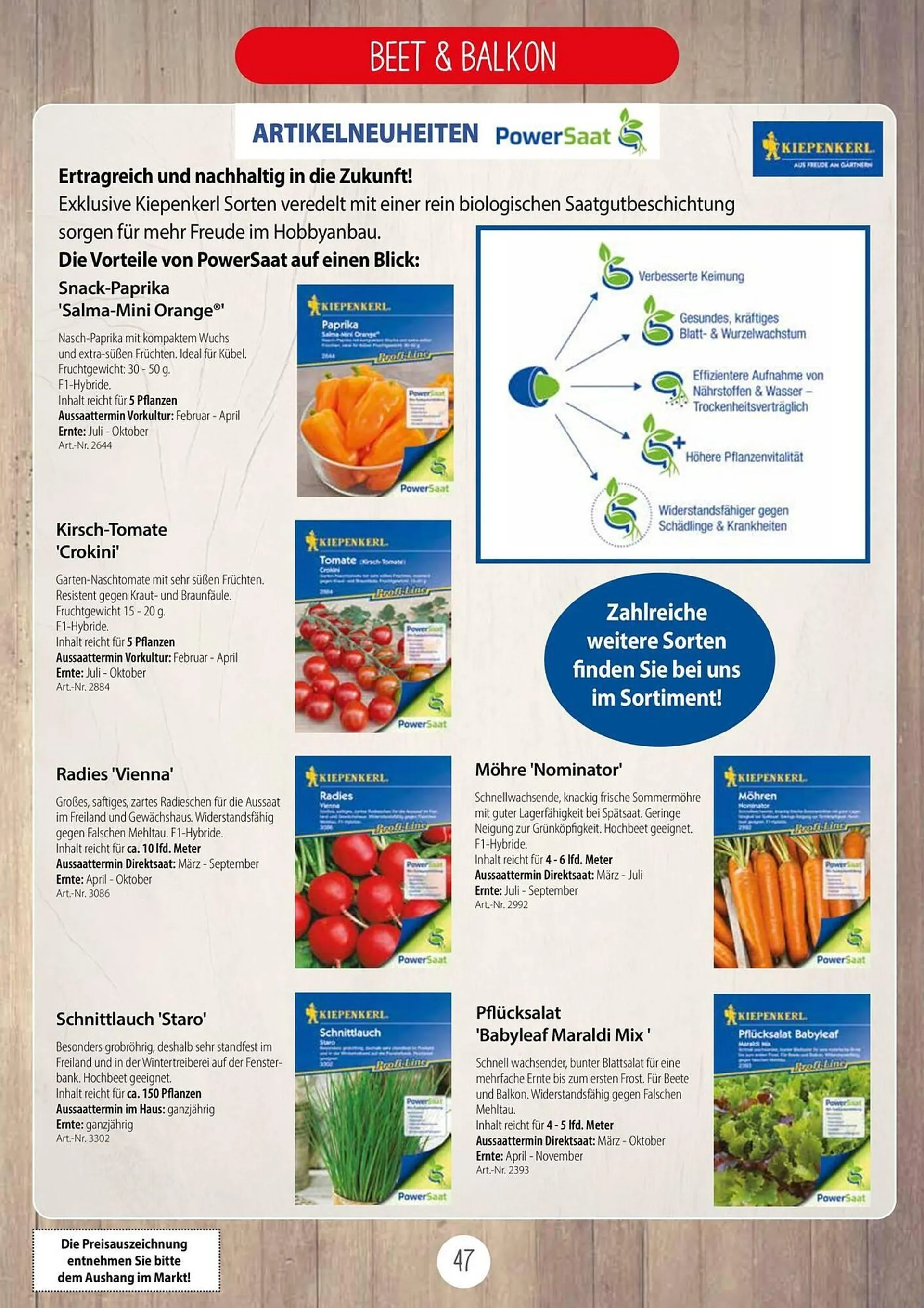 Kiebitzmarkt Prospekt von 5. Juli bis 31. Dezember 2024 - Prospekt seite 47