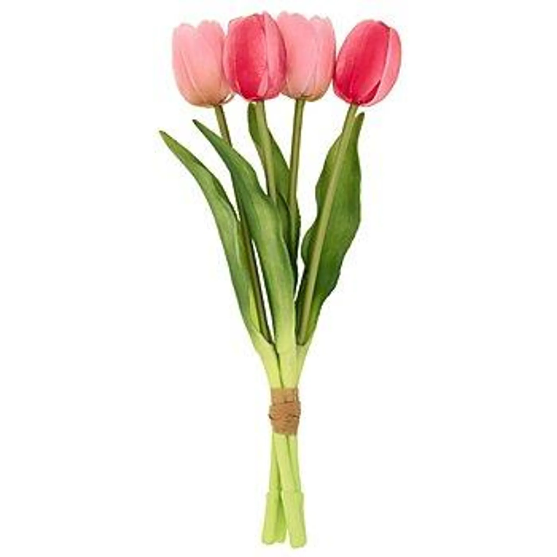 Tulpen, rosa, pink, 30 cm, 4 Stück