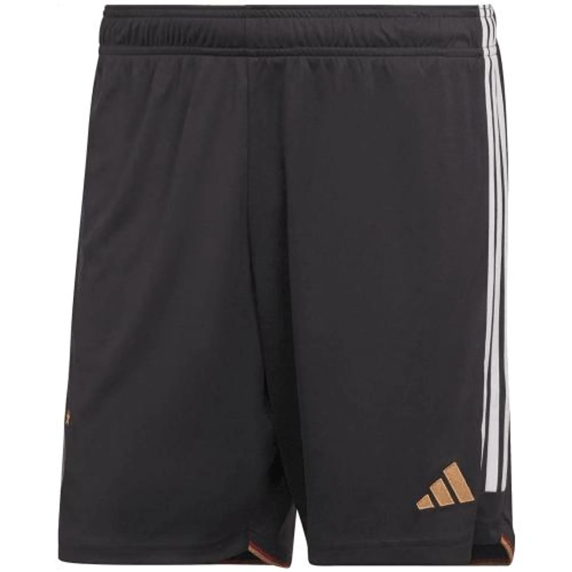 DFB 22 Heimshorts Herren Teamhose