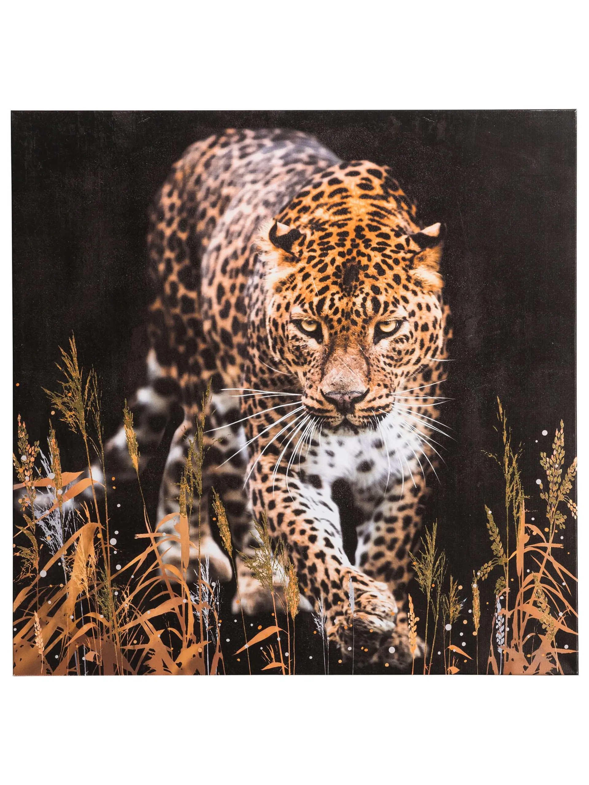 Leopard im Gras