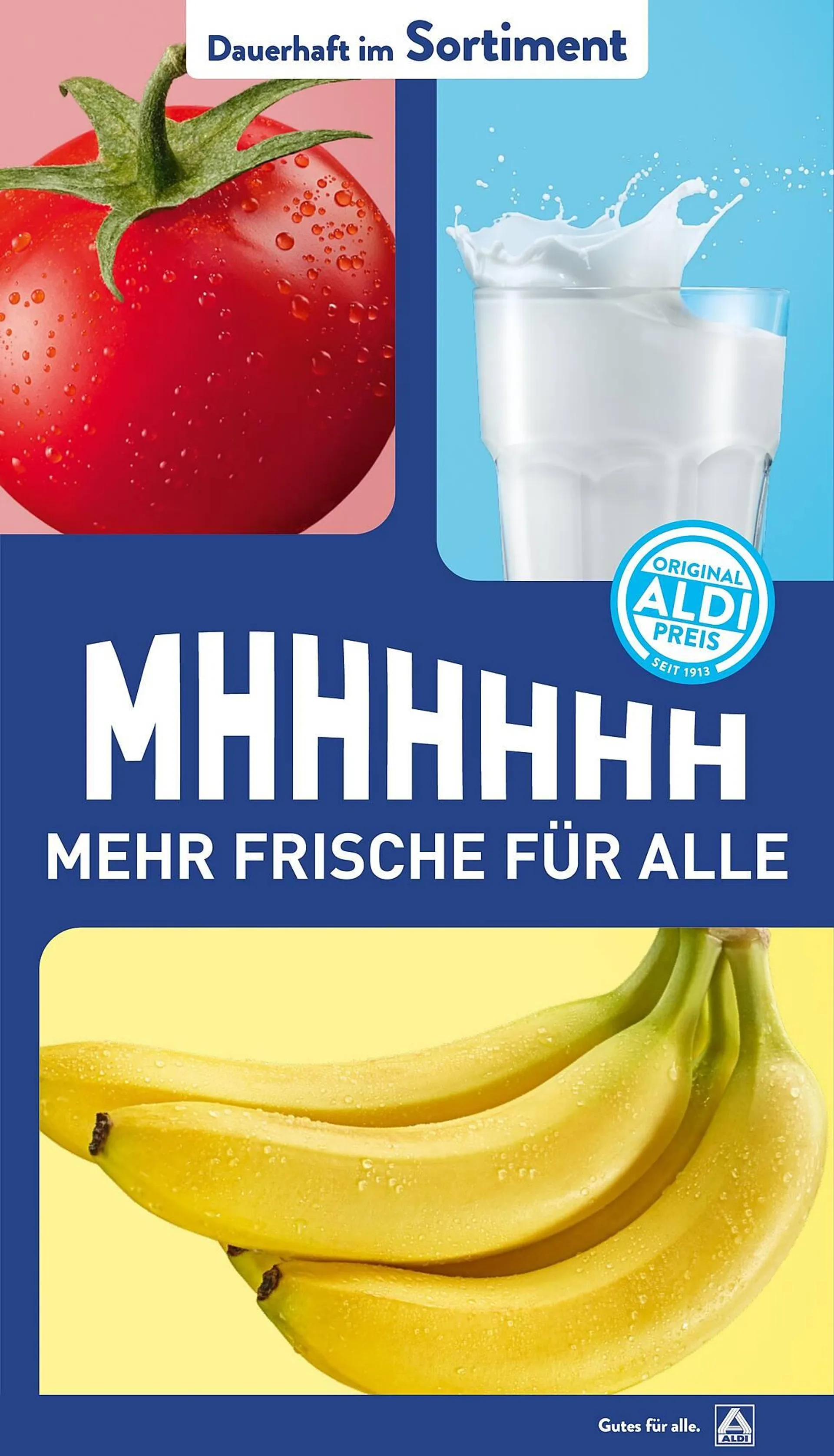 Aldi Nord Prospekt von 17. März bis 22. März 2025 - Prospekt seite 43