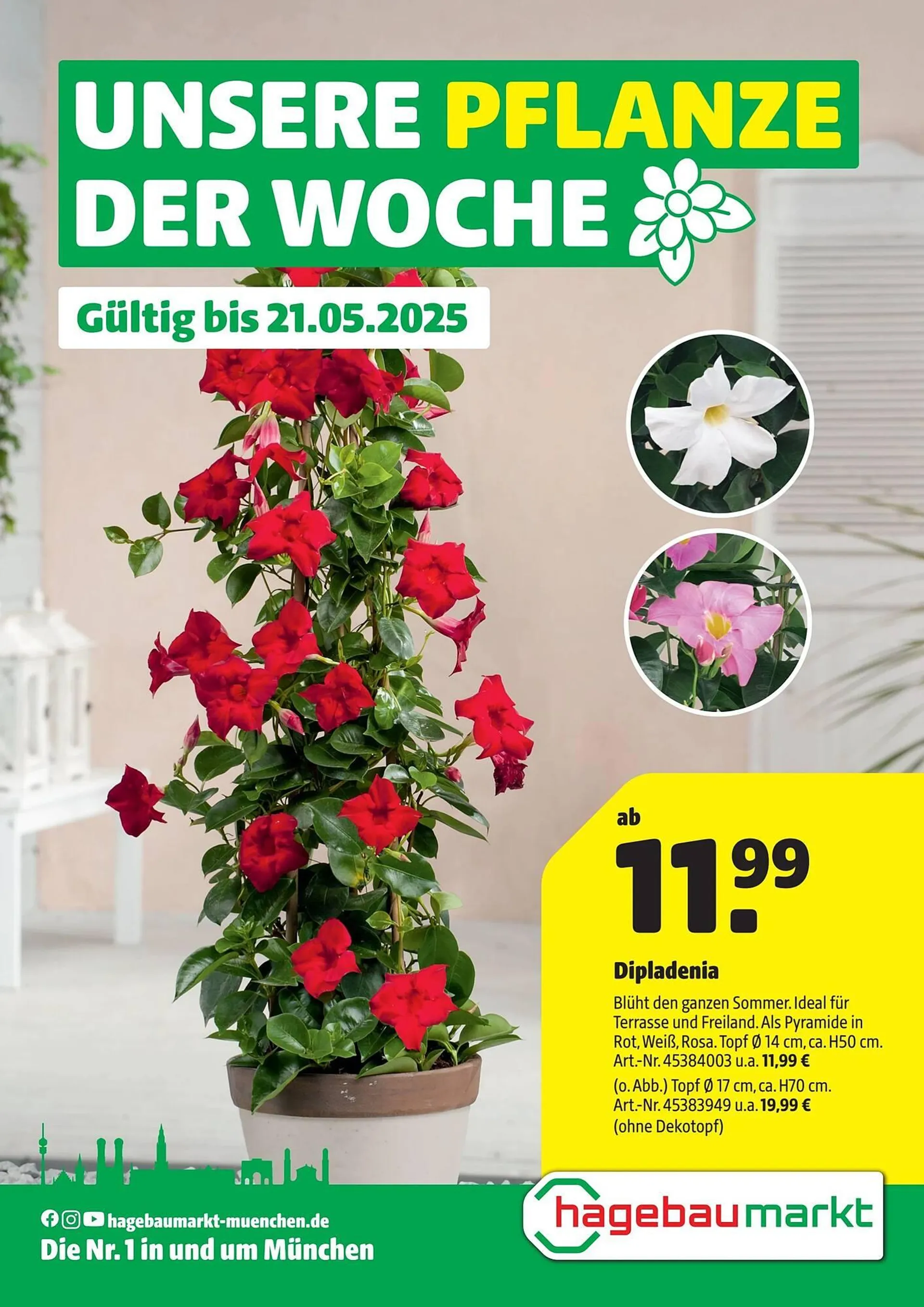 Hagebau Prospekt - 1