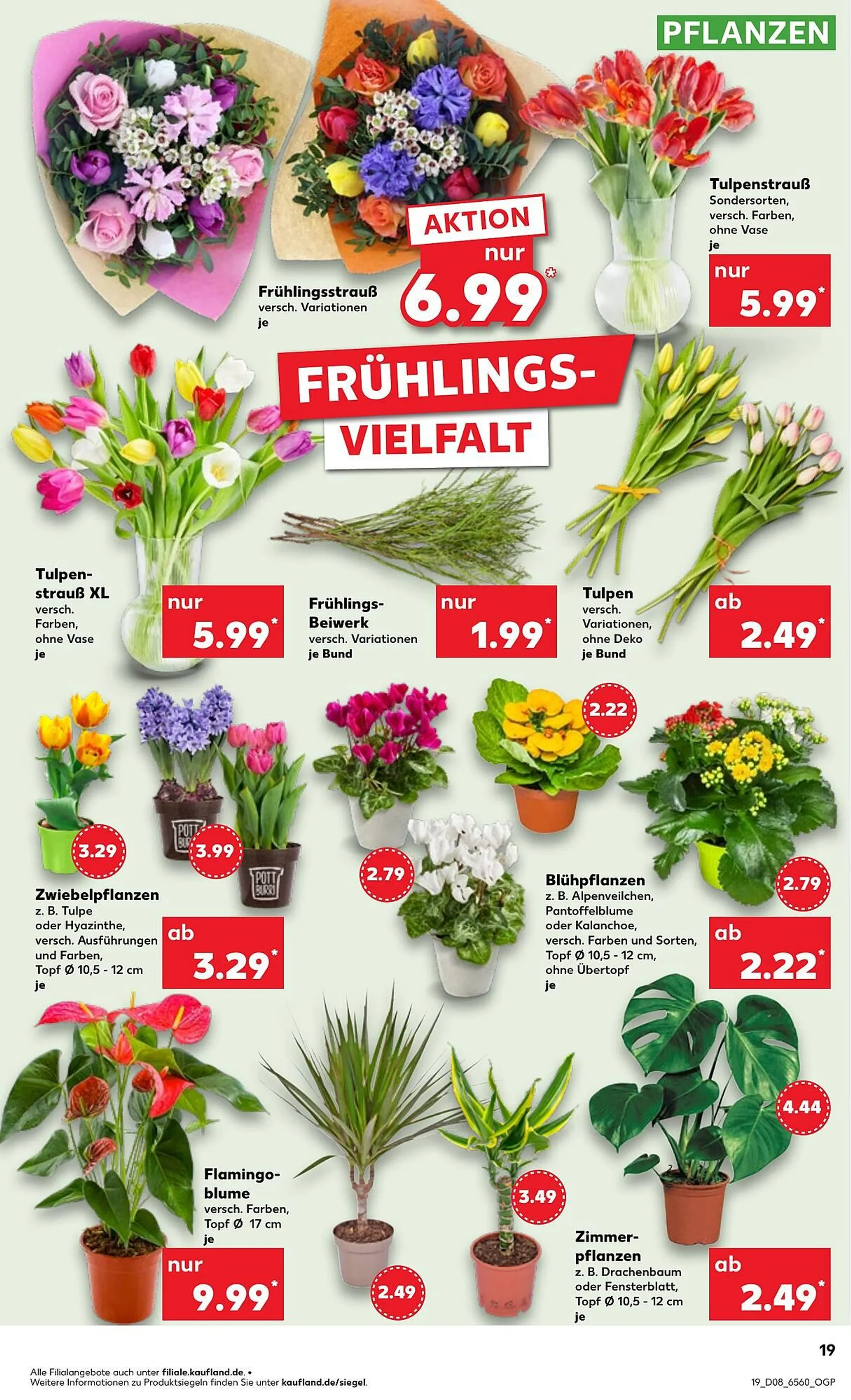 Kaufland Prospekt von 20. Februar bis 26. Februar 2025 - Prospekt seite 19