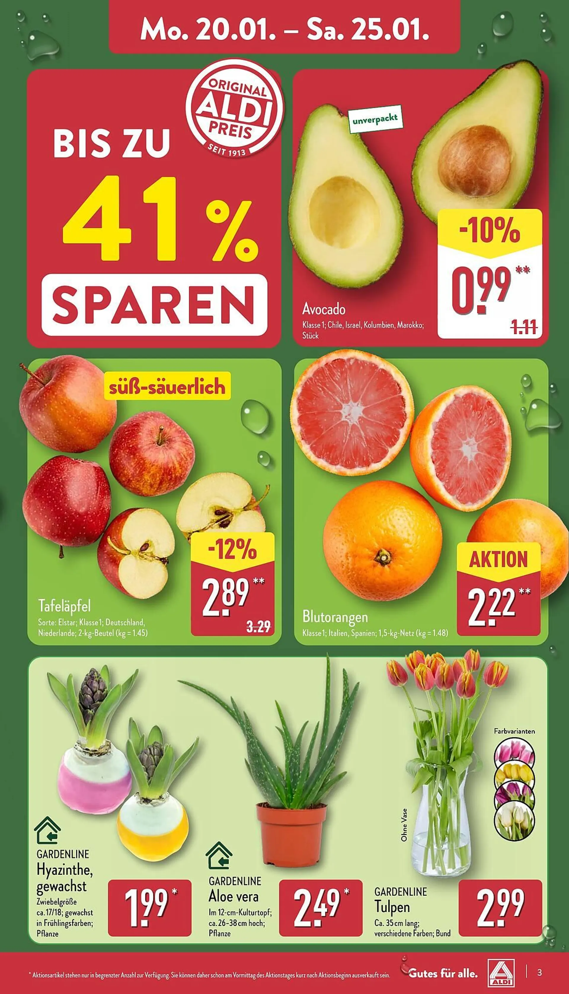 Aldi Nord Prospekt von 20. Januar bis 26. Januar 2025 - Prospekt seite 3