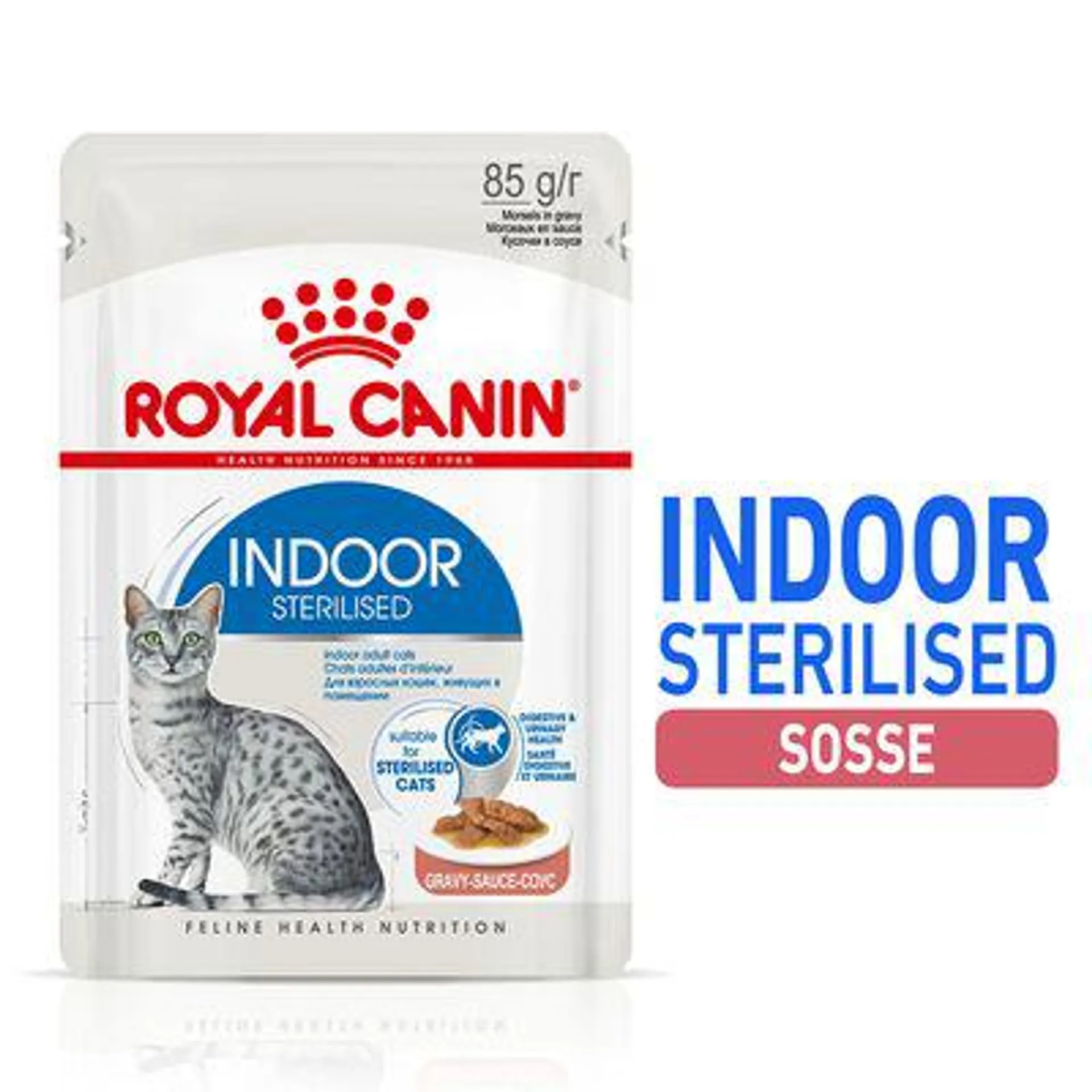 Royal Canin Indoor Sterilised in Soße