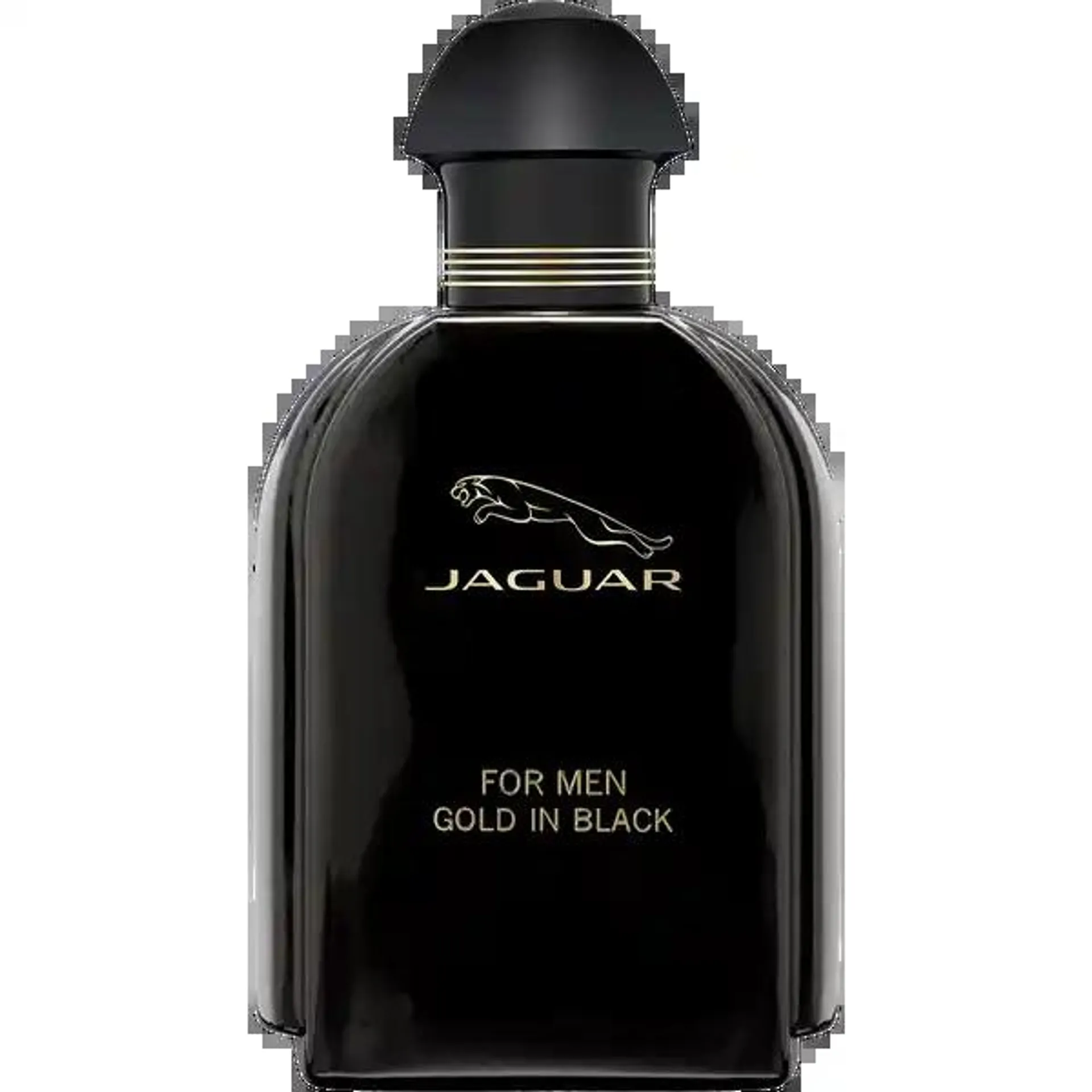 Gold in Black, EdT 100 ml