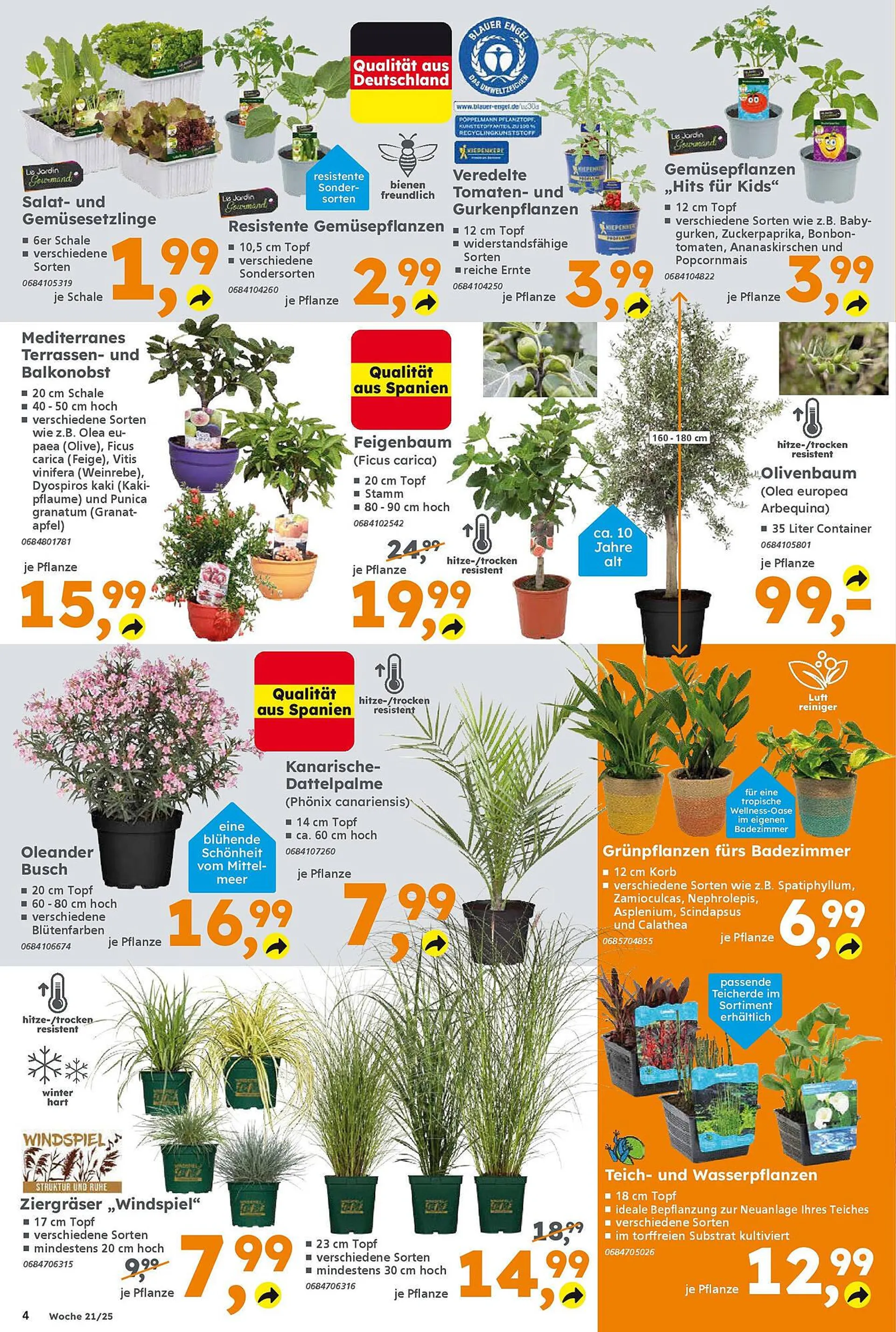 Globus Baumarkt Prospekt von 18. Mai bis 24. Mai 2025 - Prospekt seite 4