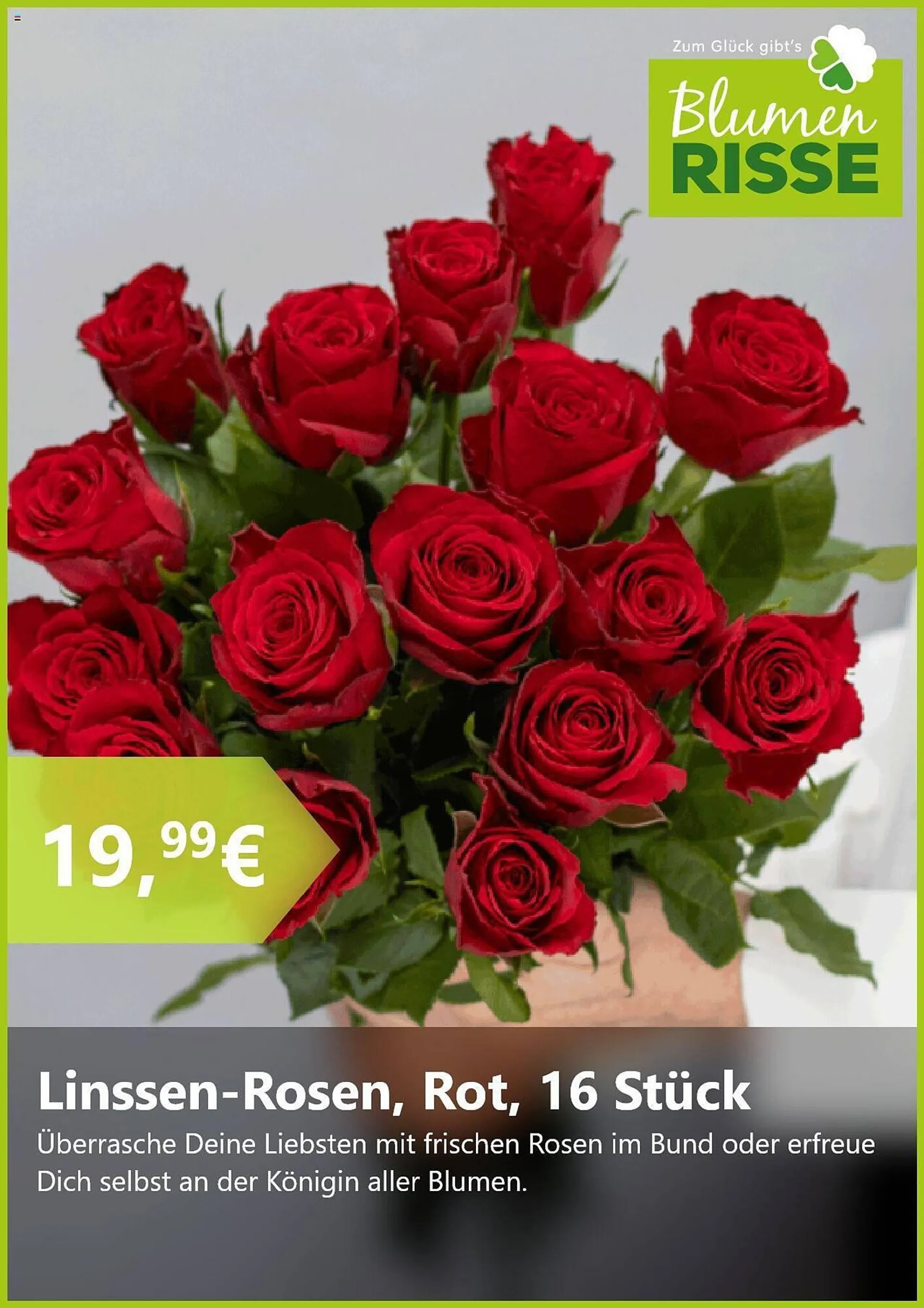 Blumen Risse Prospekt von 20. August bis 17. September 2024 - Prospekt seite 2