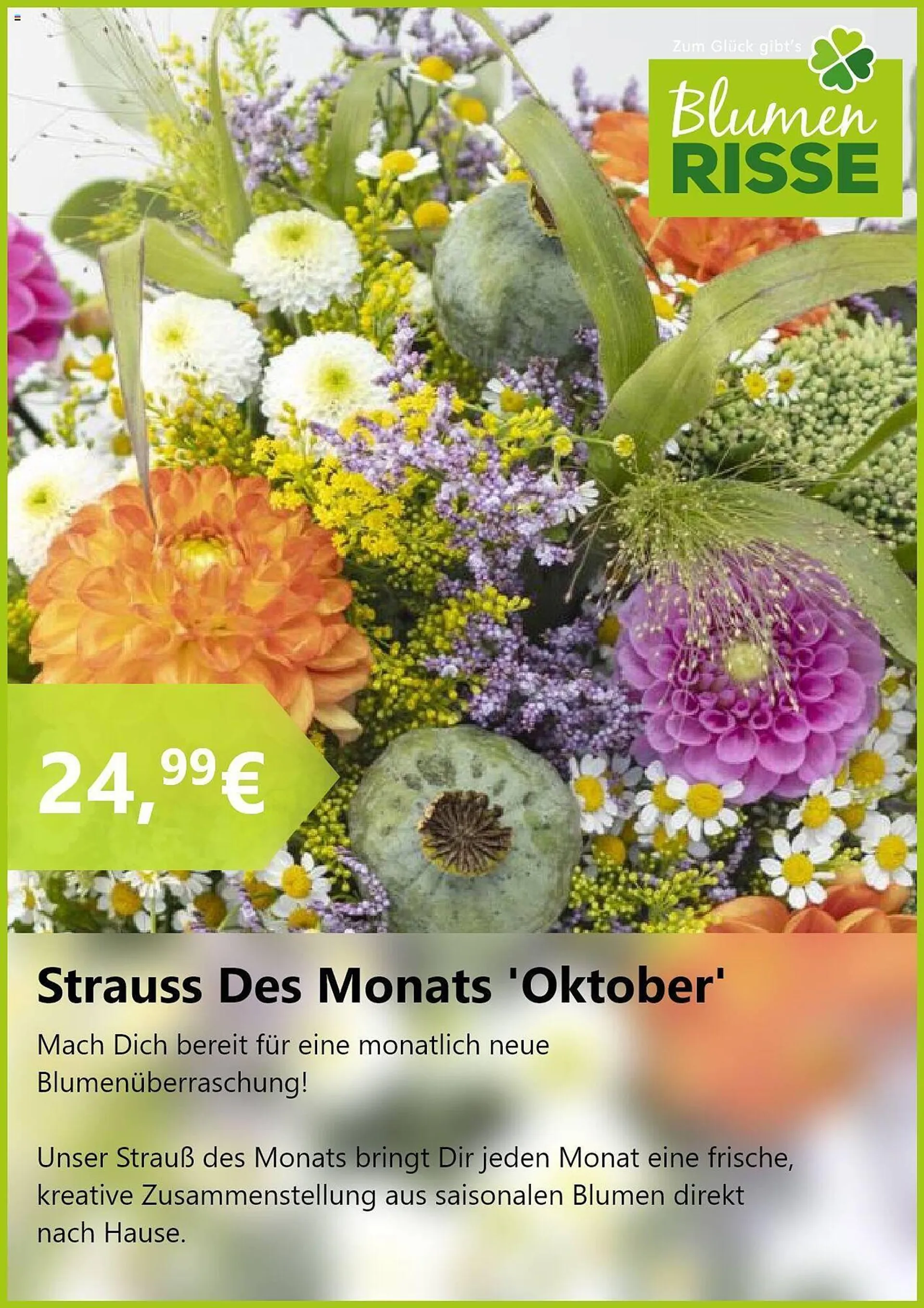 Blumen Risse Prospekt von 16. Oktober bis 13. November 2024 - Prospekt seite 7