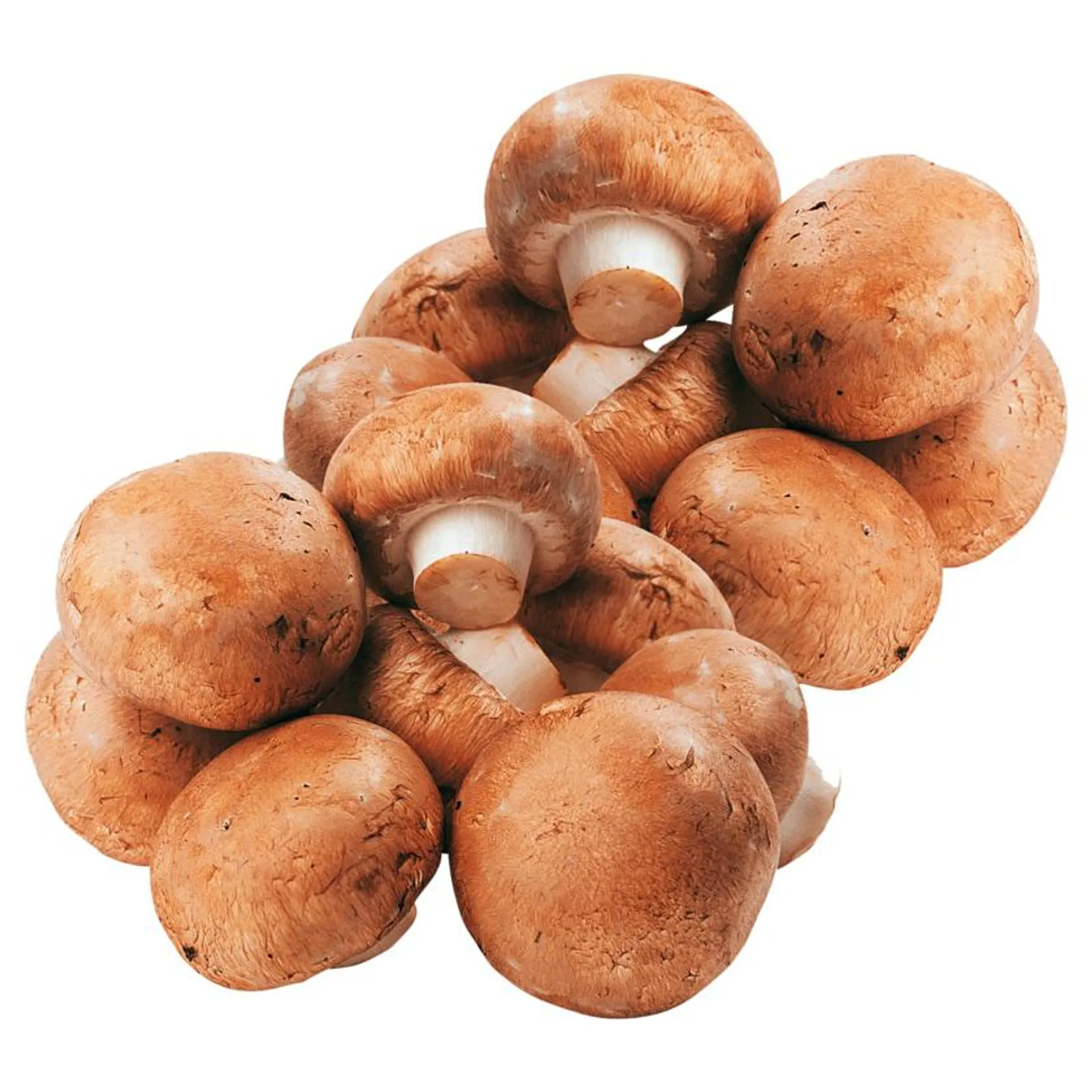 Pilzhof Nettetal Champignons braun 250g