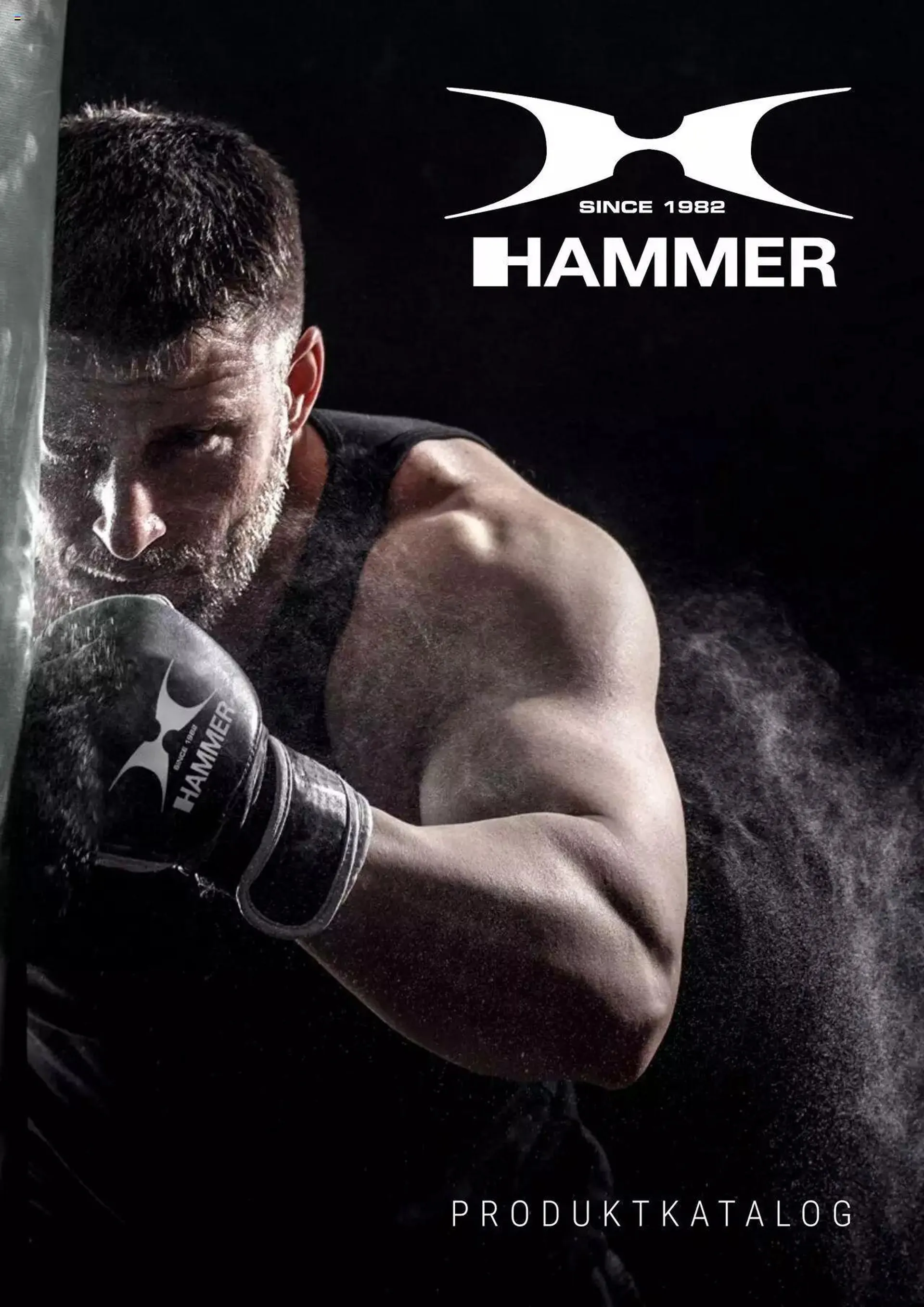 Hammer - Boxing 2022 - 0
