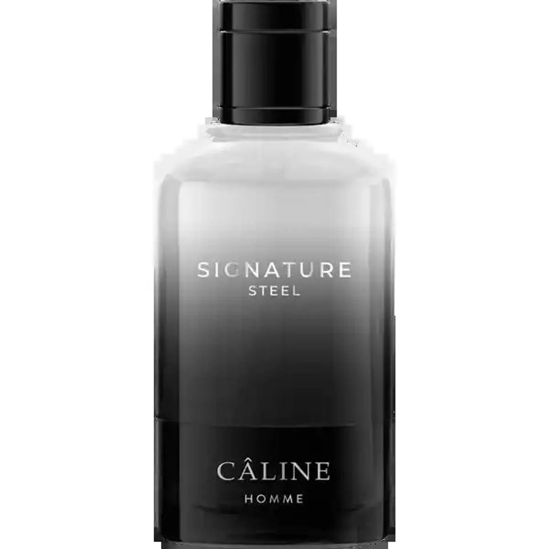 Homme Signature Steel, EdT 60 ml