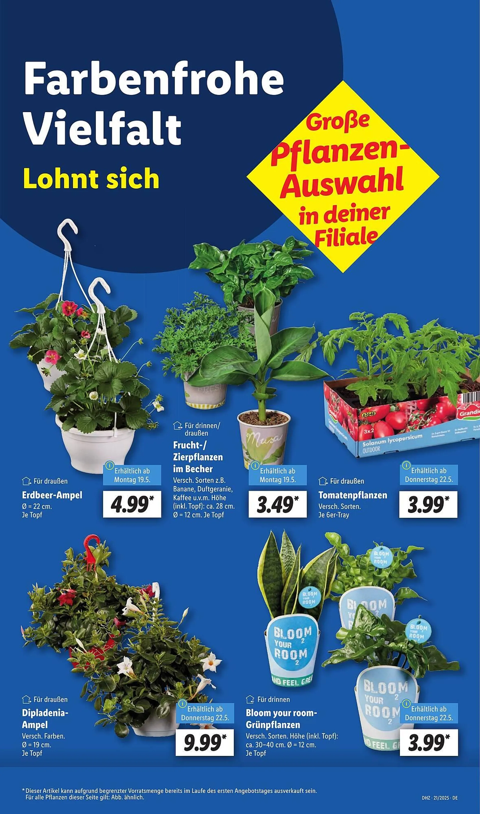 Lidl Prospekt von 19. Mai bis 24. Mai 2025 - Prospekt seite 5