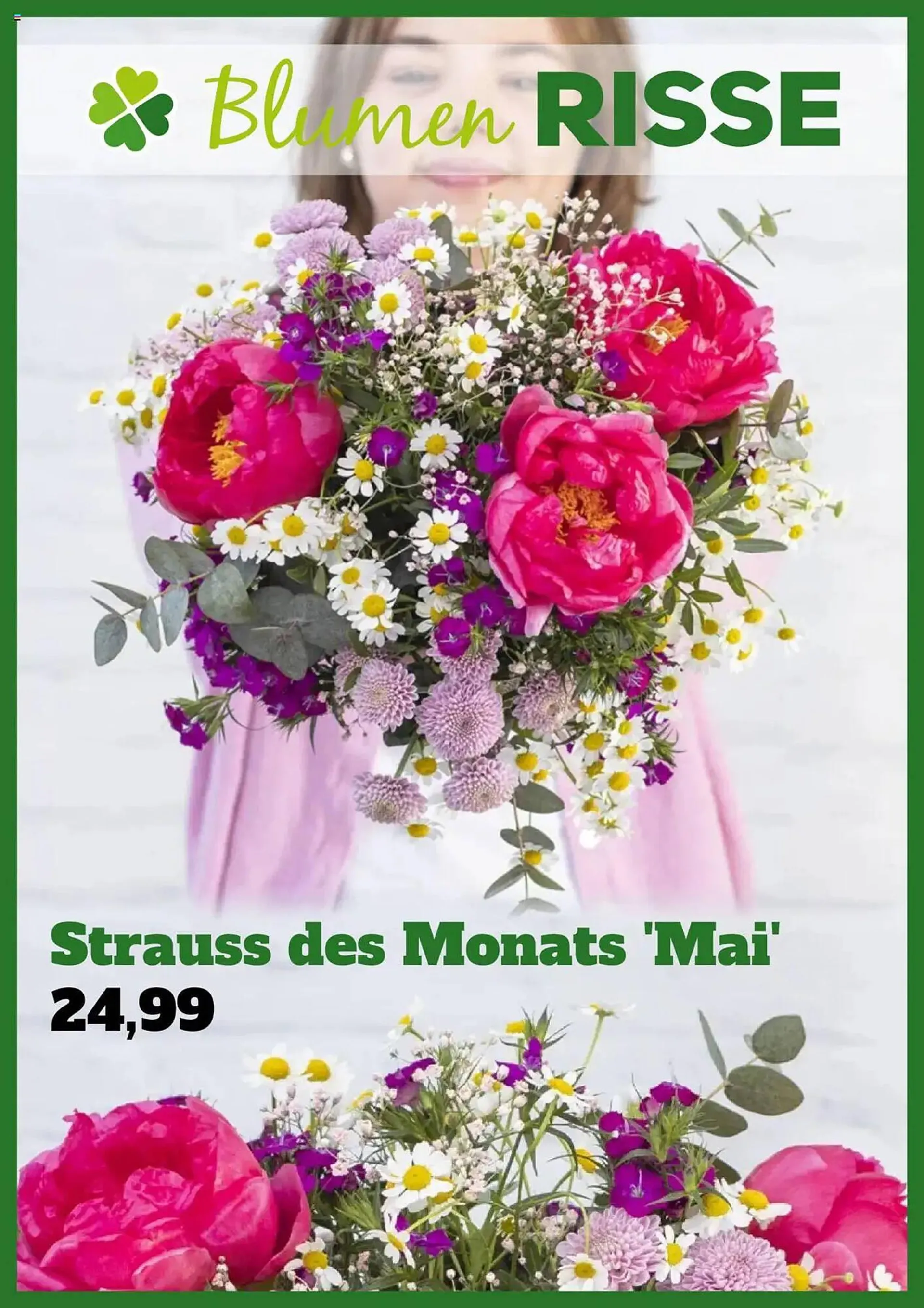 Blumen Risse Prospekt - 1