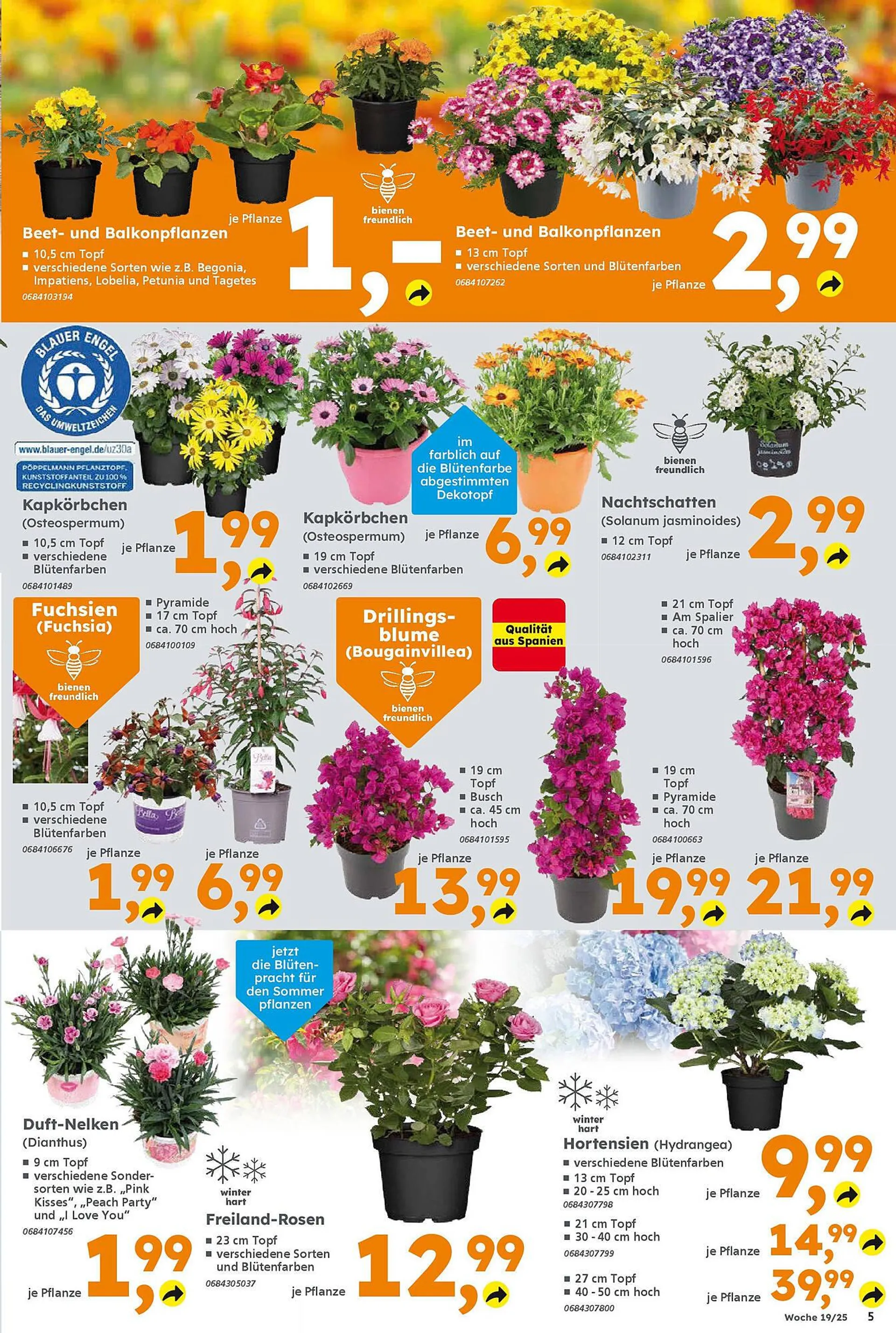 Globus Baumarkt Prospekt von 4. Mai bis 10. Mai 2025 - Prospekt seite 5
