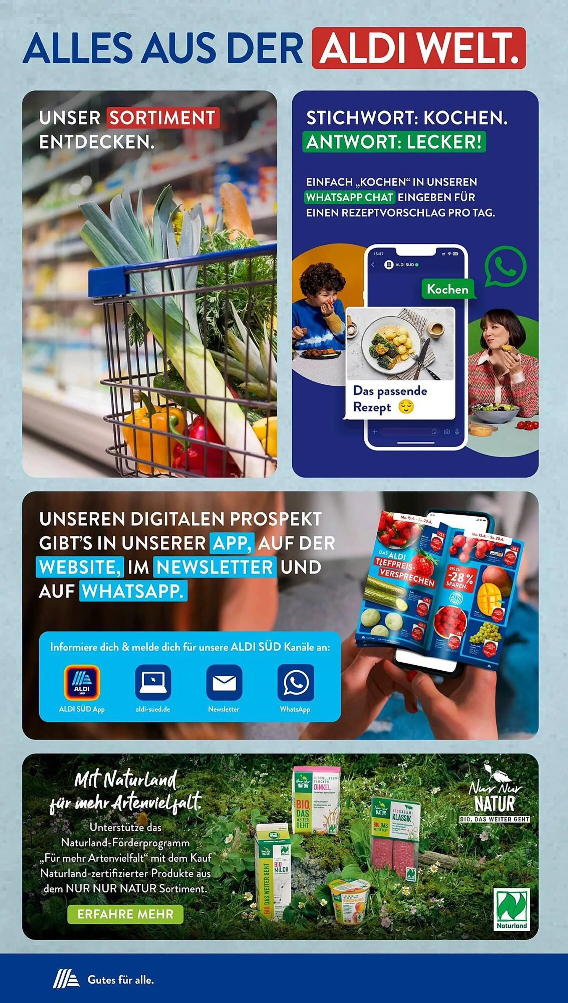 Aldi Süd Prospekt von 6. Januar bis 12. Januar 2025 - Prospekt seite 34