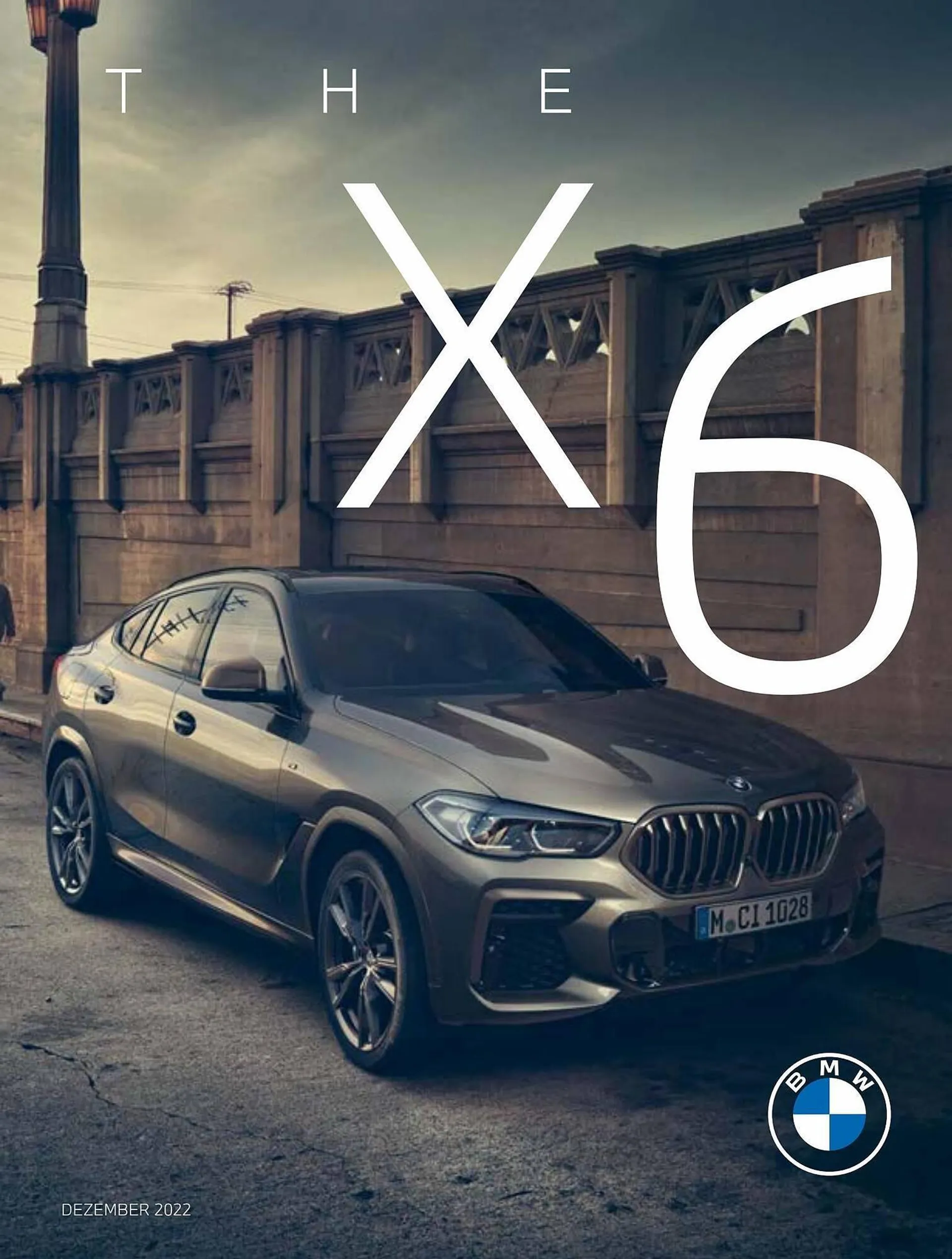 BMW X6 Prospekt