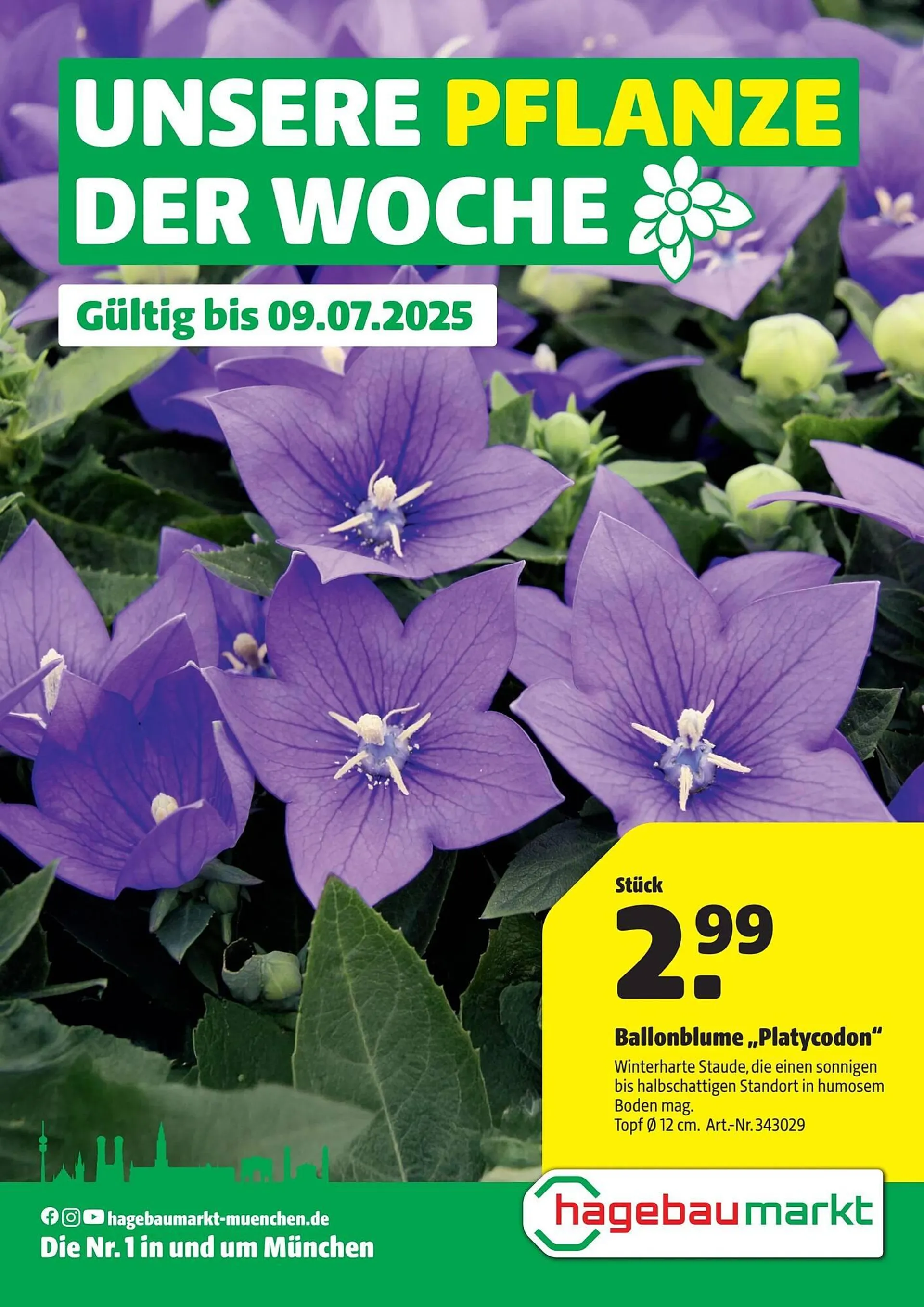 Hagebau Prospekt von 3. Juli bis 10. Juli 2025 - Prospekt seite 1