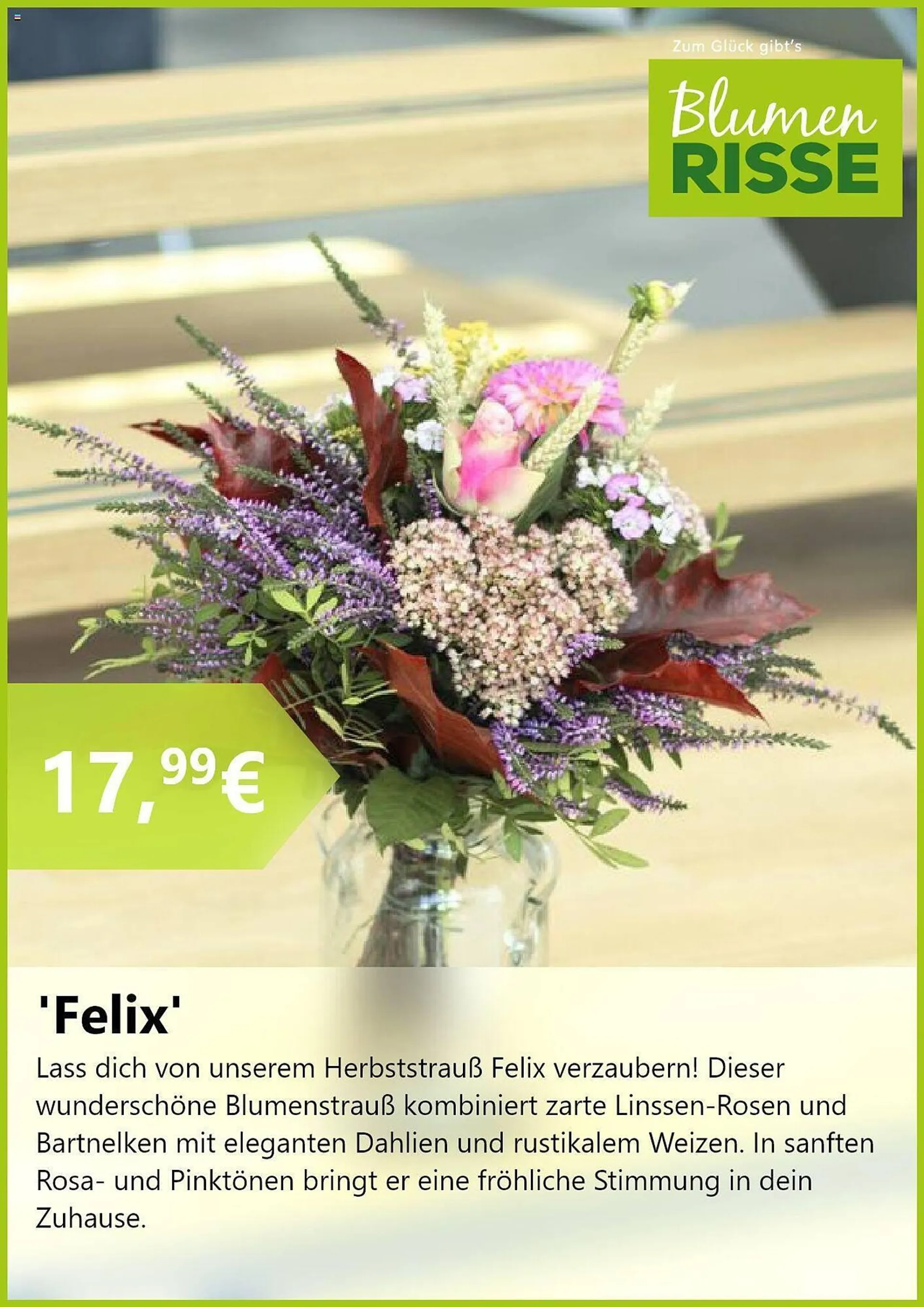 Blumen Risse Prospekt von 16. Oktober bis 13. November 2024 - Prospekt seite 3