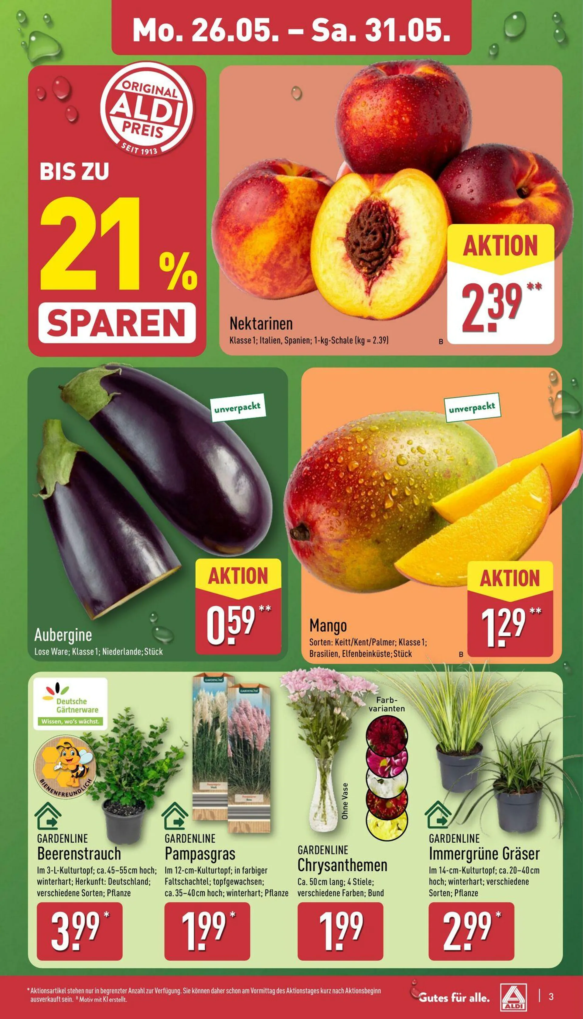 Aldi-Nord von 19. Mai bis 24. Mai 2025 - Prospekt seite 3