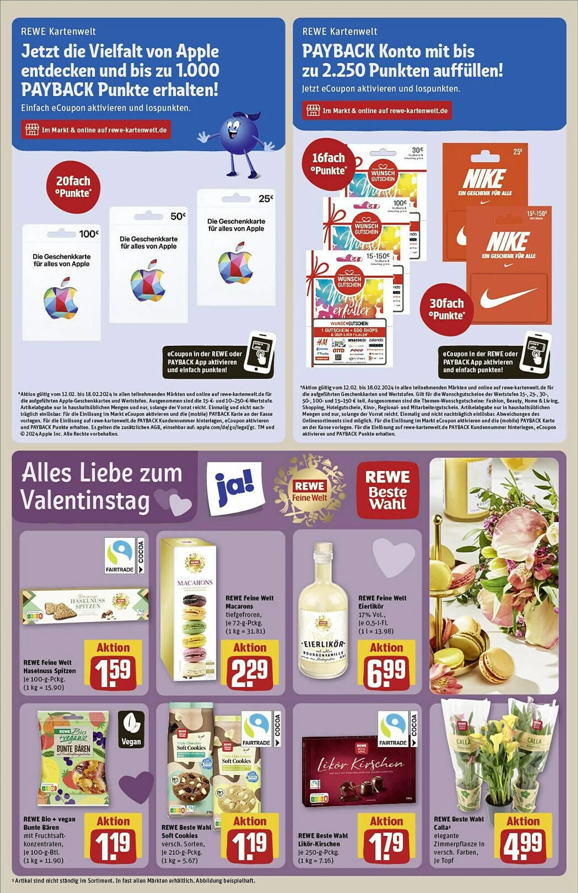 REWE Prospekt von 11. Februar bis 18. Februar 2024 - Prospekt seite 19