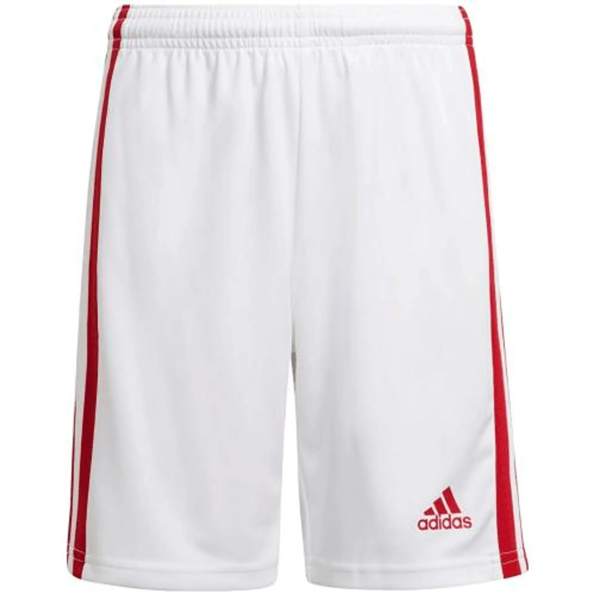 Squadra 21 Shorts Jungen Teamhose