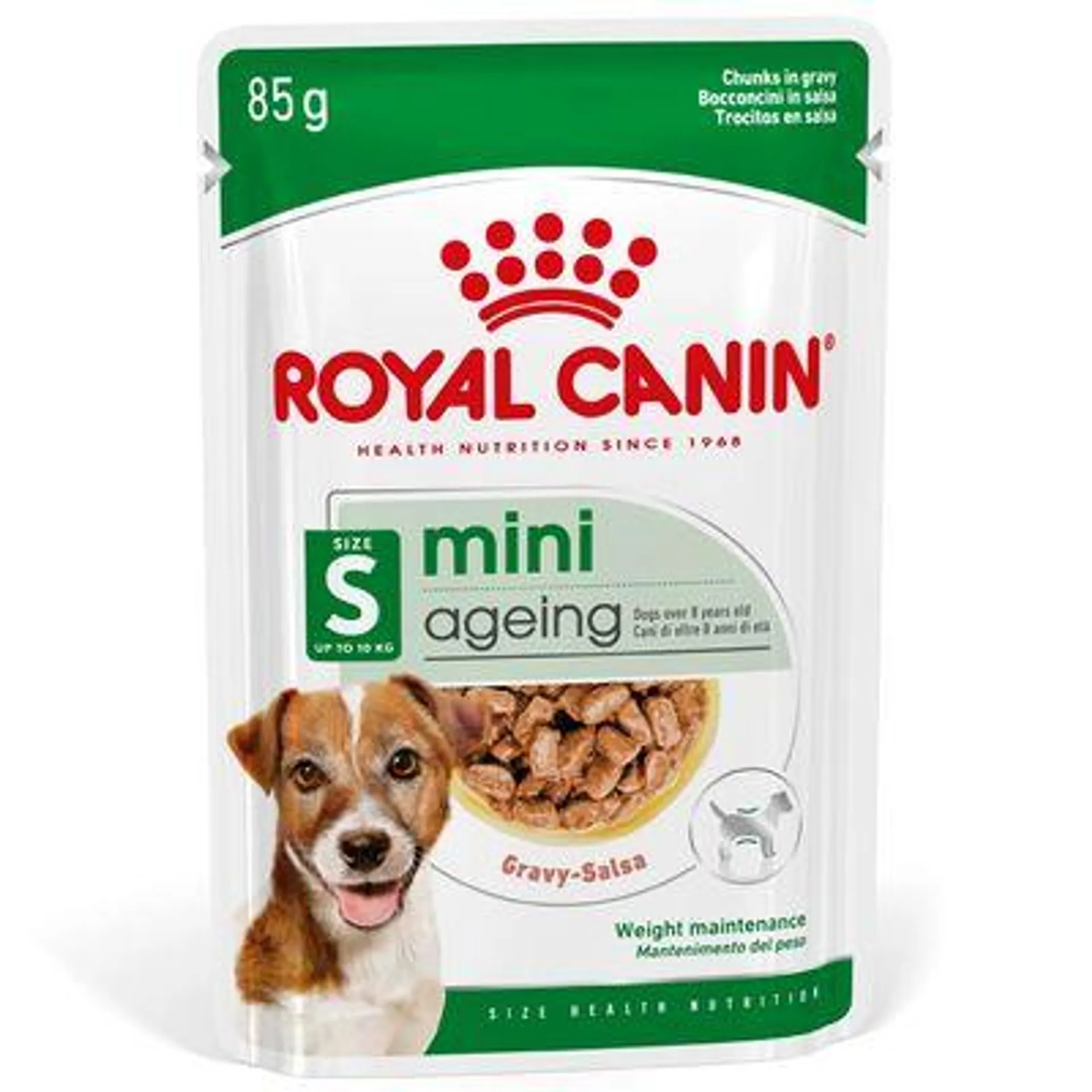 Royal Canin Mini Ageing 8+ em molho