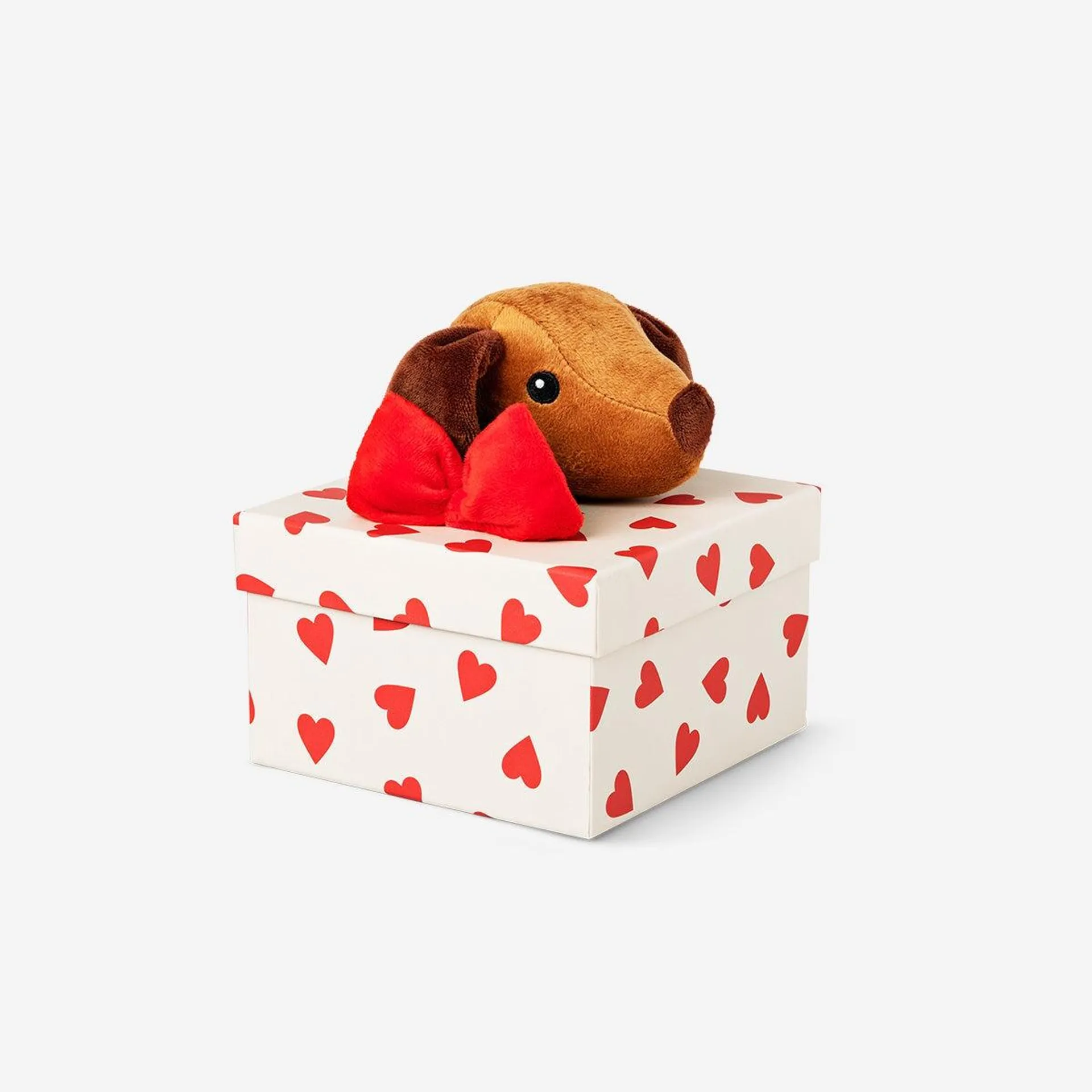 Gift box with plush sausage dog