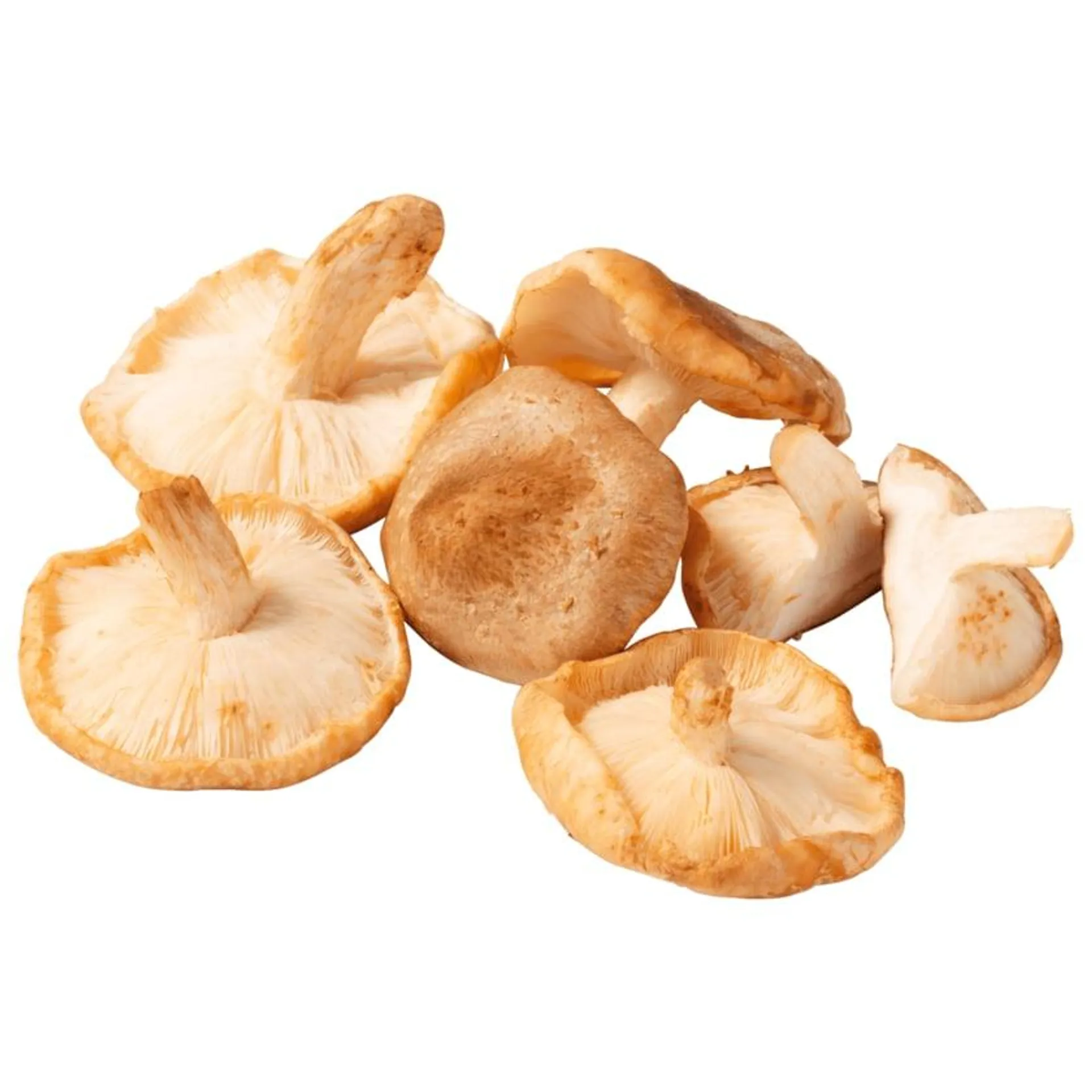 Pilzhof Nettetal Shiitake 150g