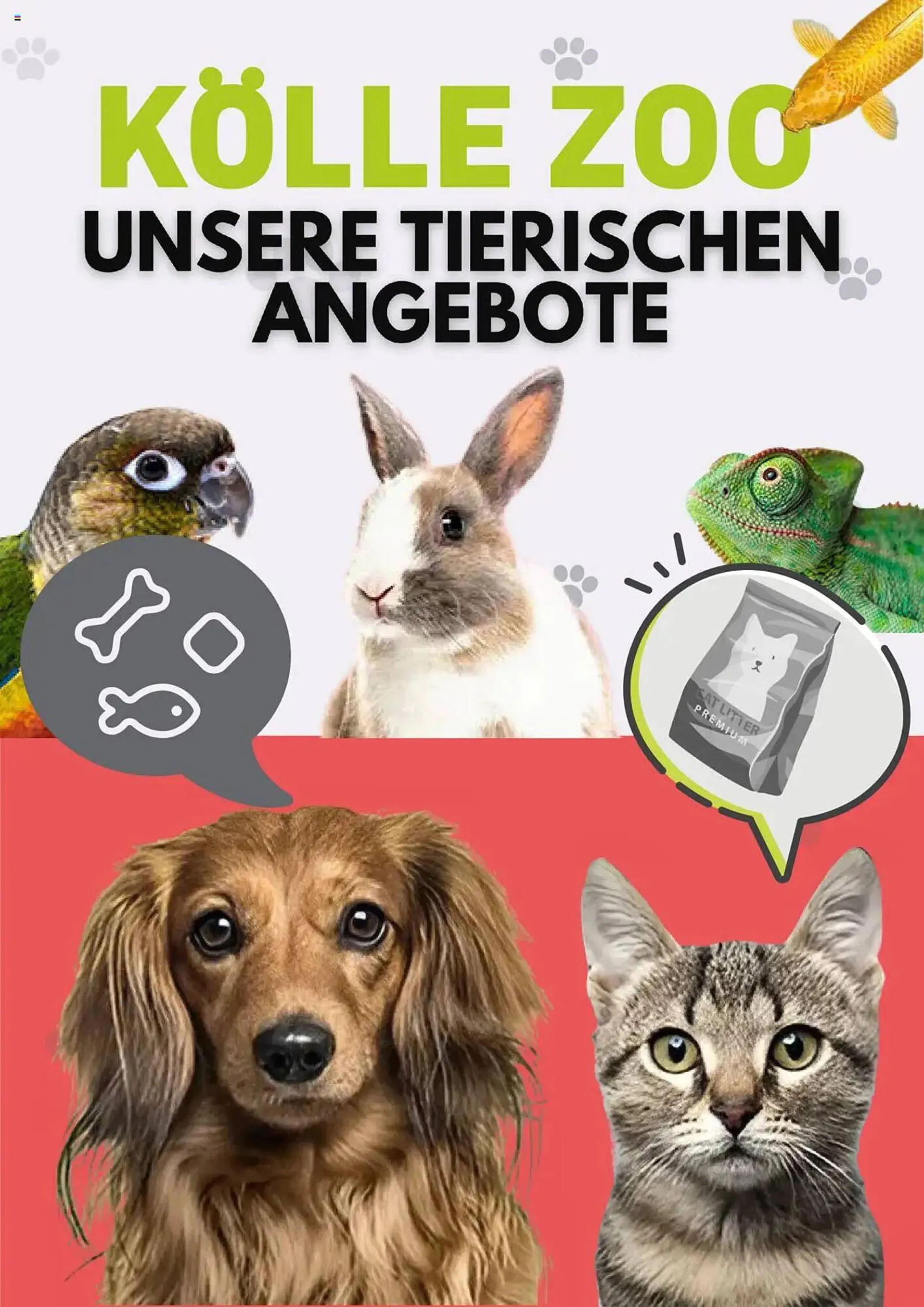 Kölle Zoo Prospekt von 13. Juni bis 14. Juli 2025 - Prospekt seite 1