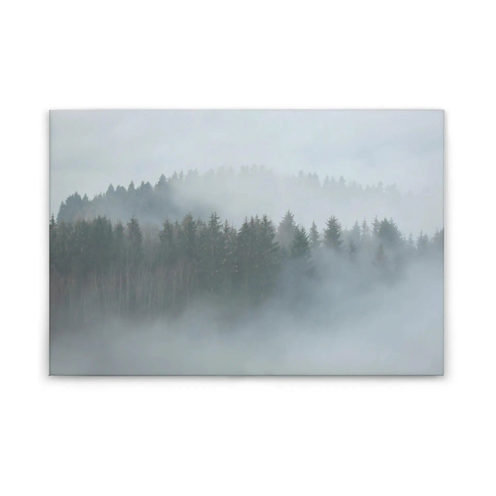 Leinwandbild WALD - grau - 90x60 cm