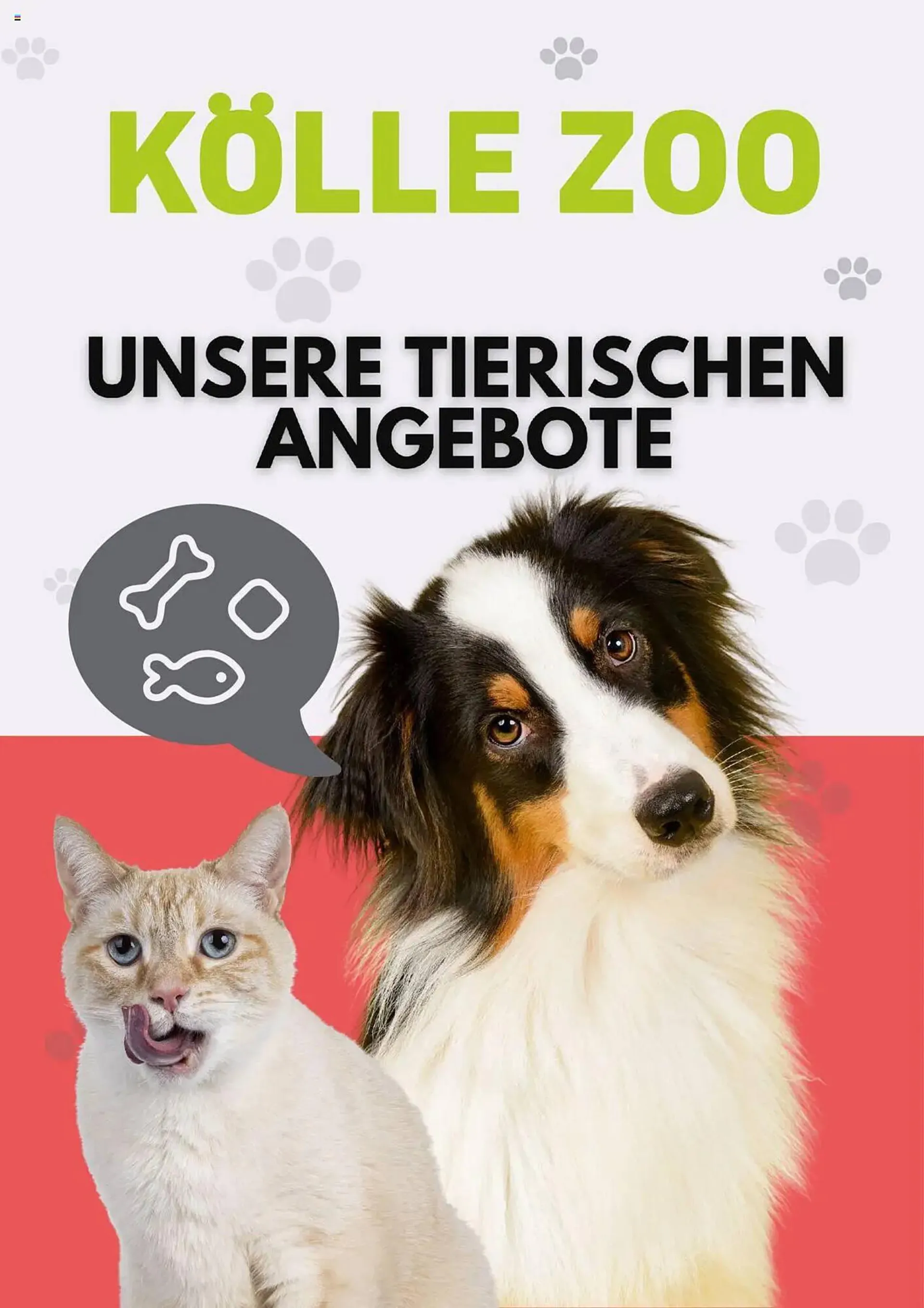 Kölle Zoo Prospekt von 6. Februar bis 5. März 2025 - Prospekt seite 1