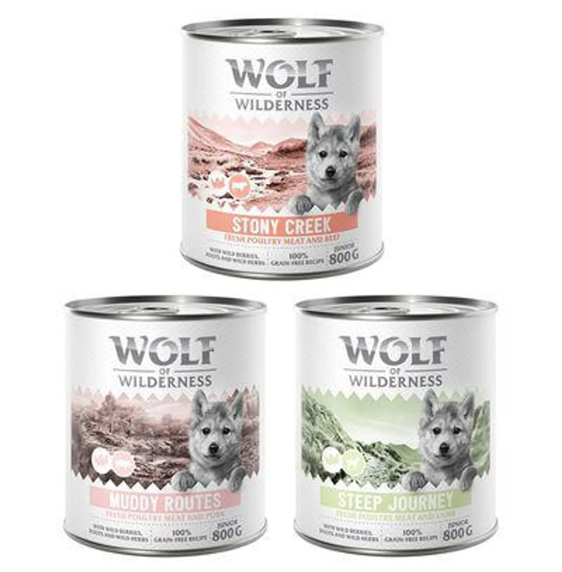 Wolf of Wilderness Junior - mit viel frischem Geflügel 6 x 800 g