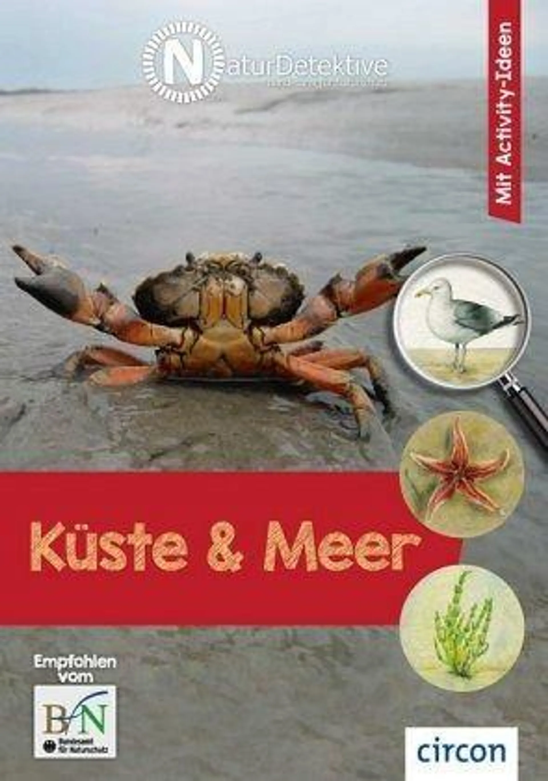 NaturDetektive: Küste und Meer