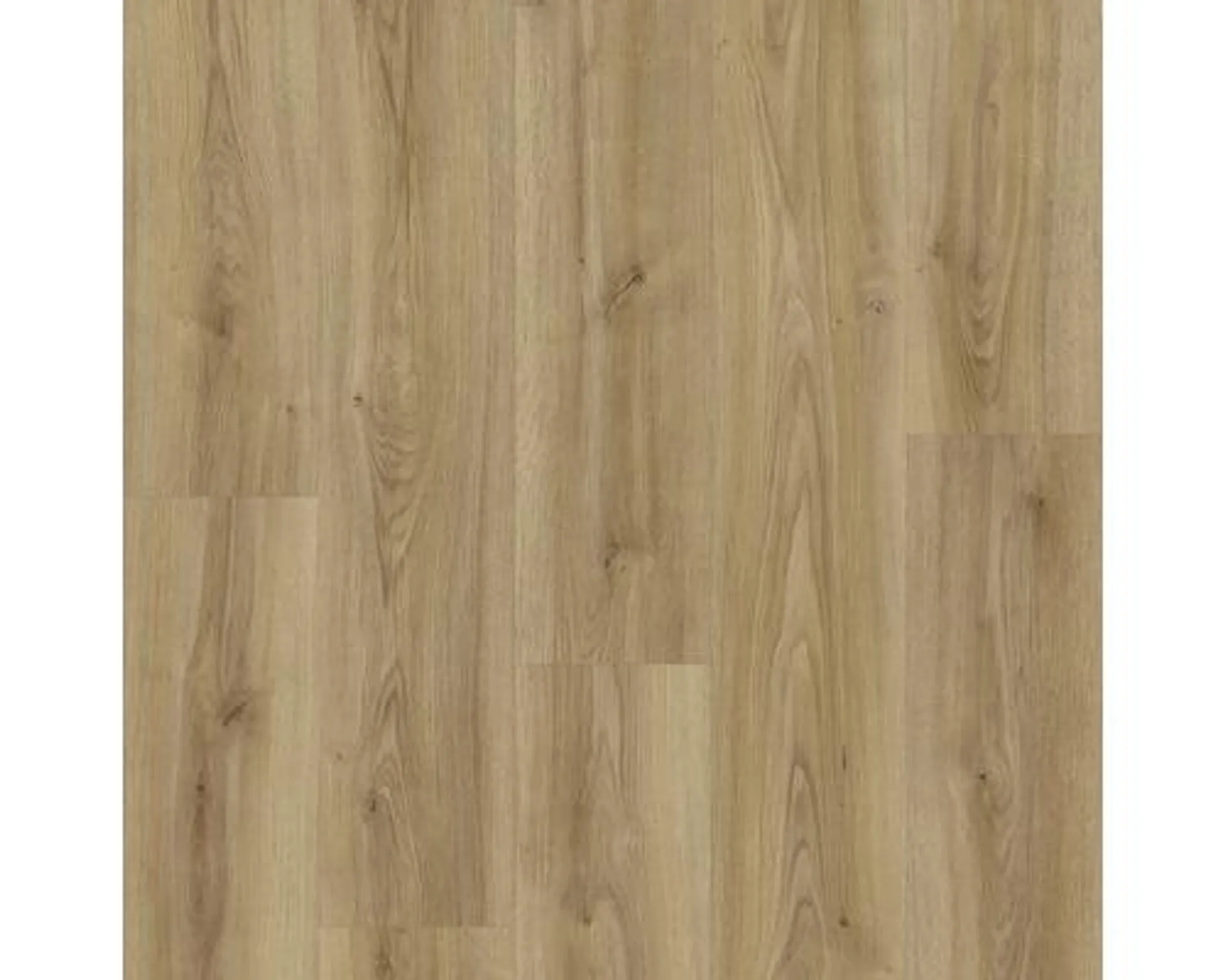 Laminat 8.0 Masterfloor Aqualine Oak Cordova Elegante