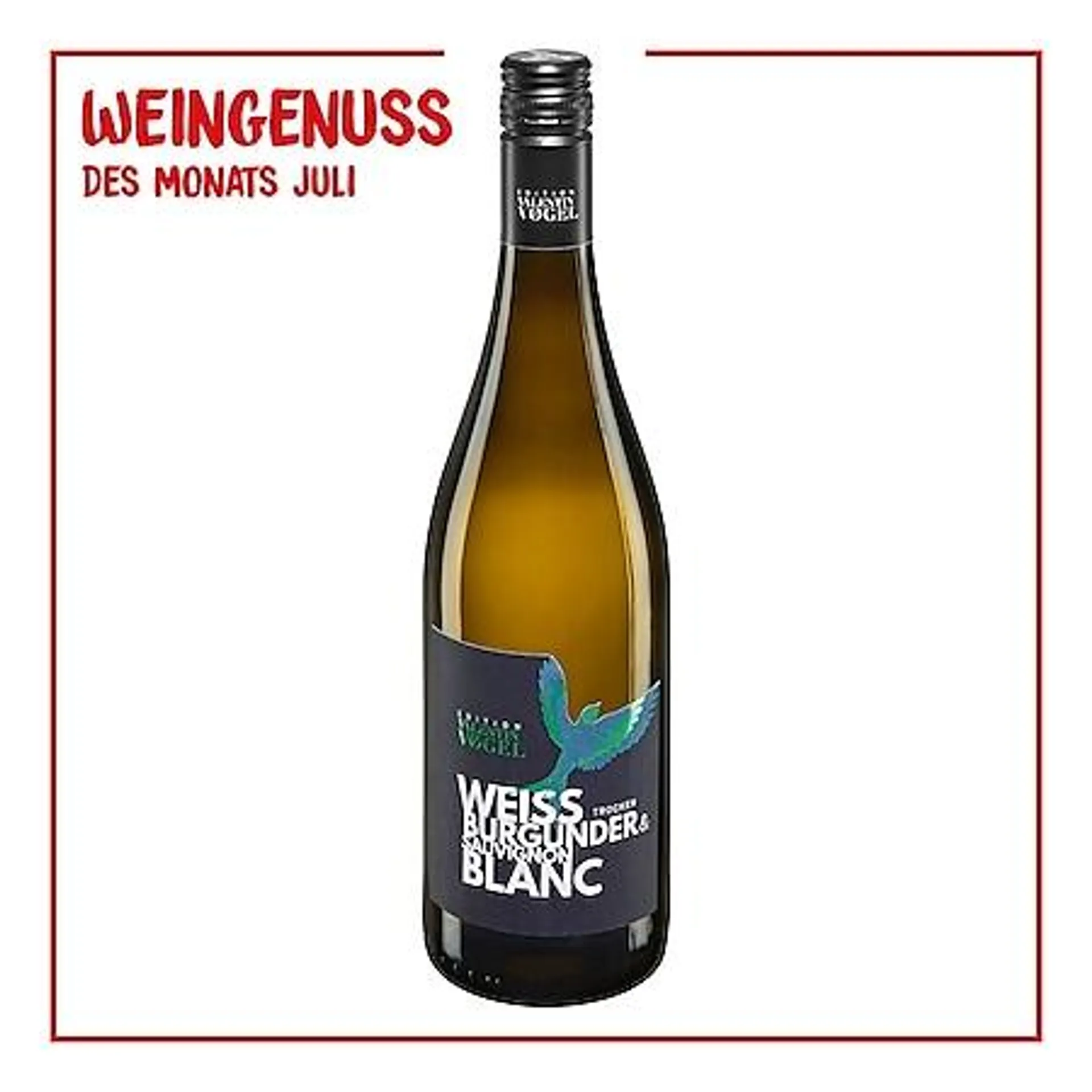 Edition Valentin Vogel Weißburgunder Qualitätswein Sauvignon Blanc 12,5 % vol 0,75 Liter