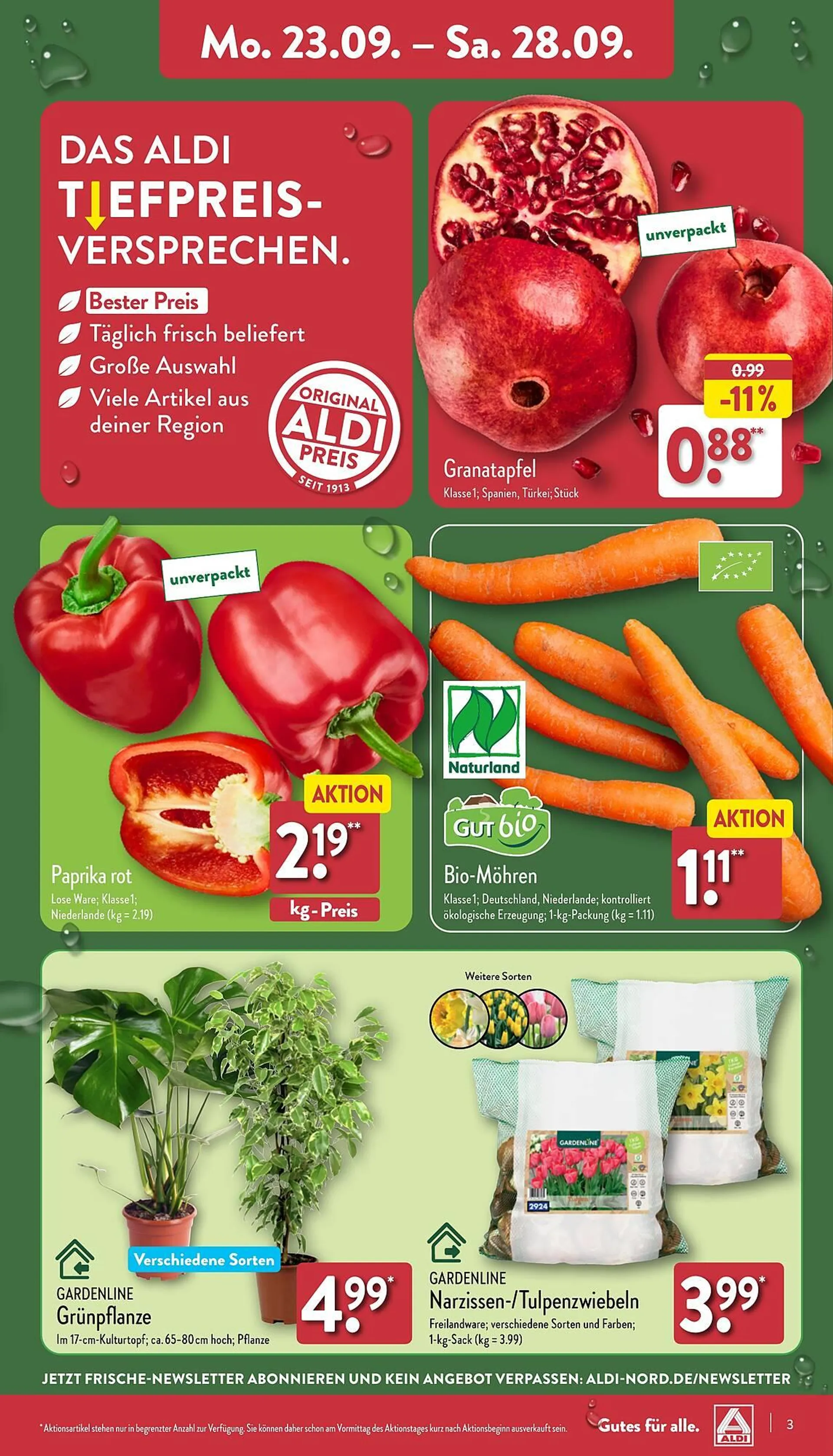 Aldi Nord Prospekt von 23. September bis 28. September 2024 - Prospekt seite 3