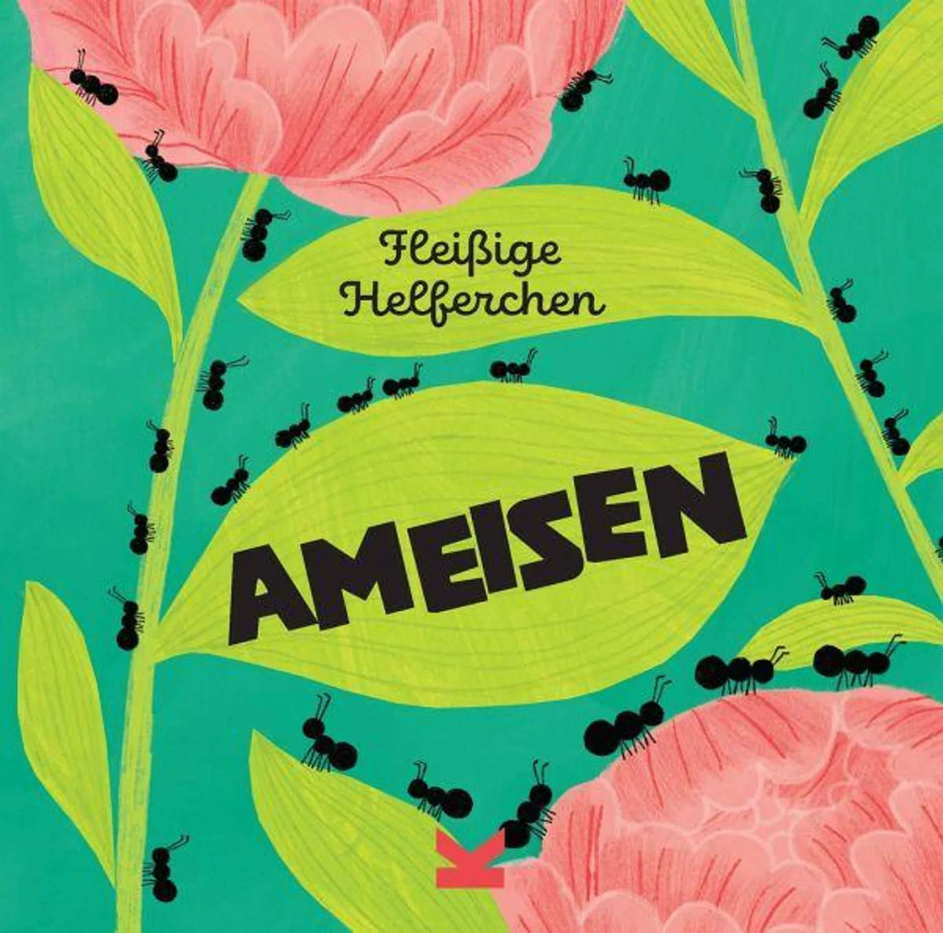 Fleißige Helferchen: Ameisen