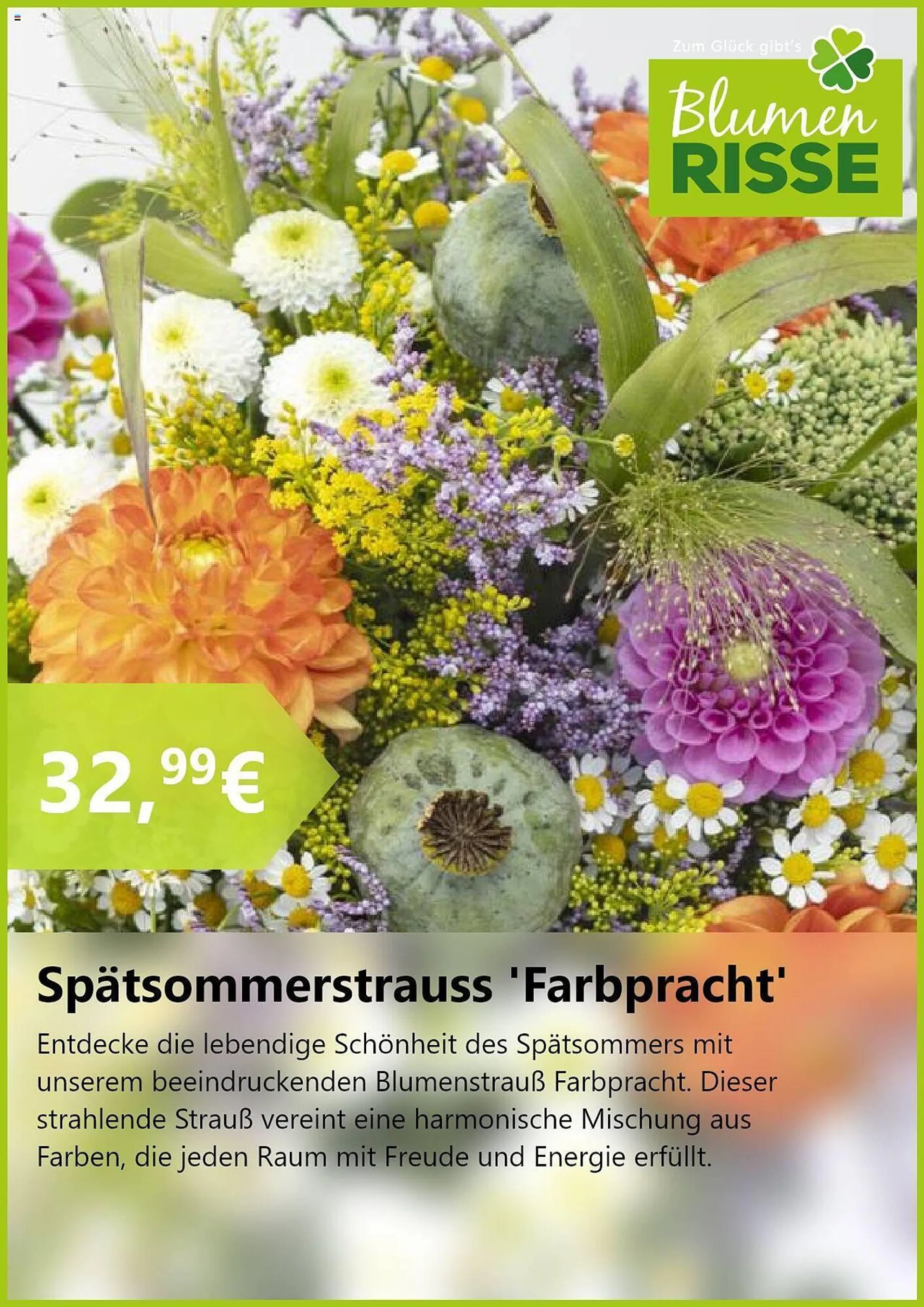 Blumen Risse Prospekt von 17. September bis 15. Oktober 2024 - Prospekt seite 7