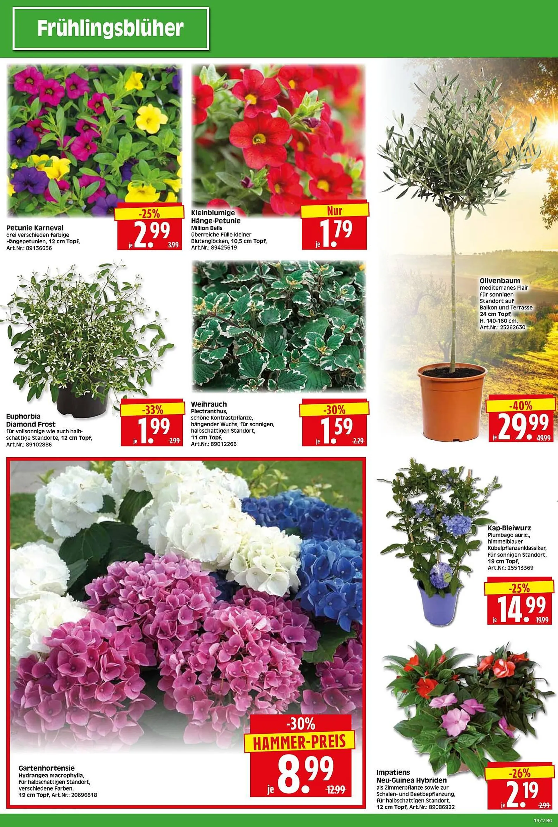 Herkules Baumarkt Prospekt von 5. Mai bis 10. Mai 2025 - Prospekt seite 2